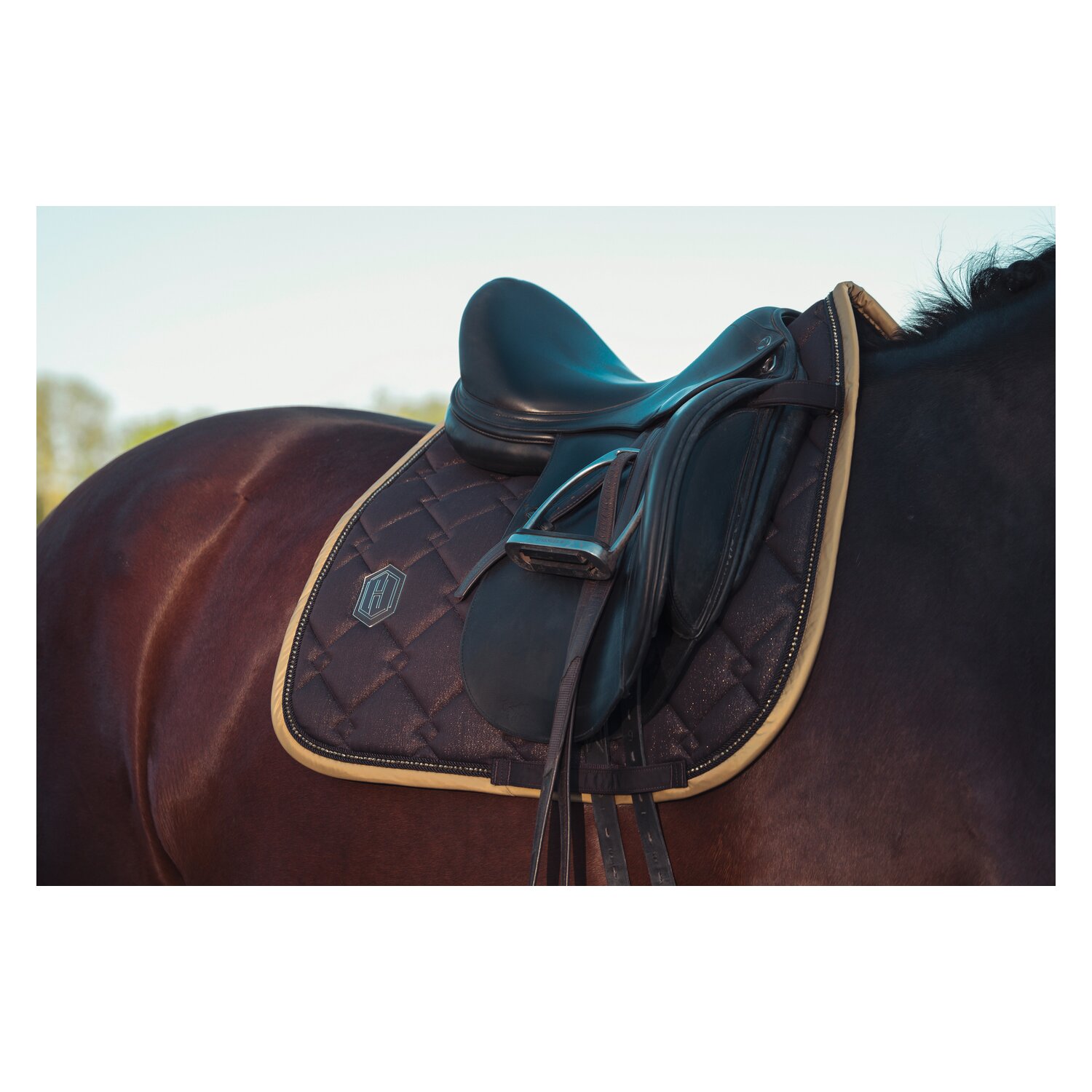 ESKADRON Heritage Schabracke Cotton Glitter – Ansicht 3