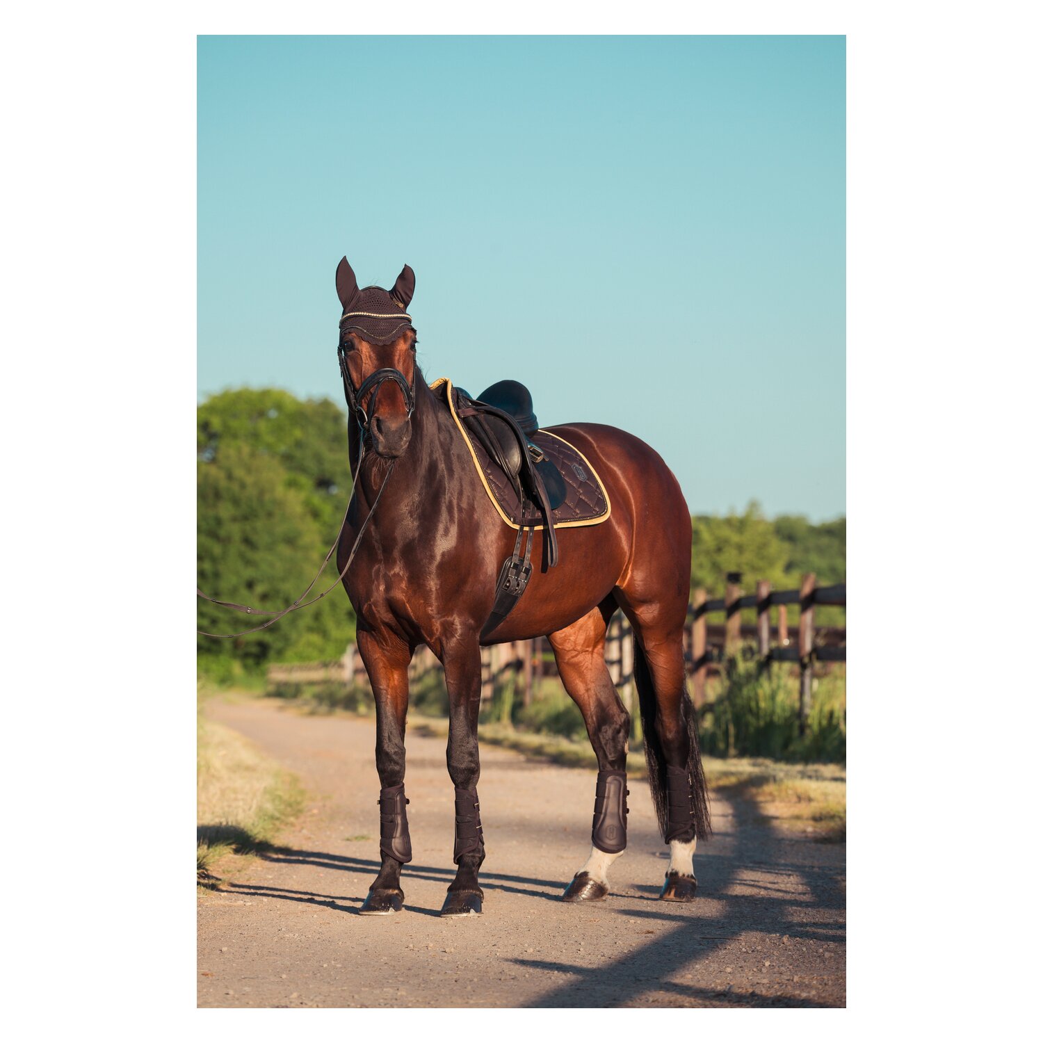 ESKADRON Heritage Schabracke Cotton Glitter – Ansicht 4