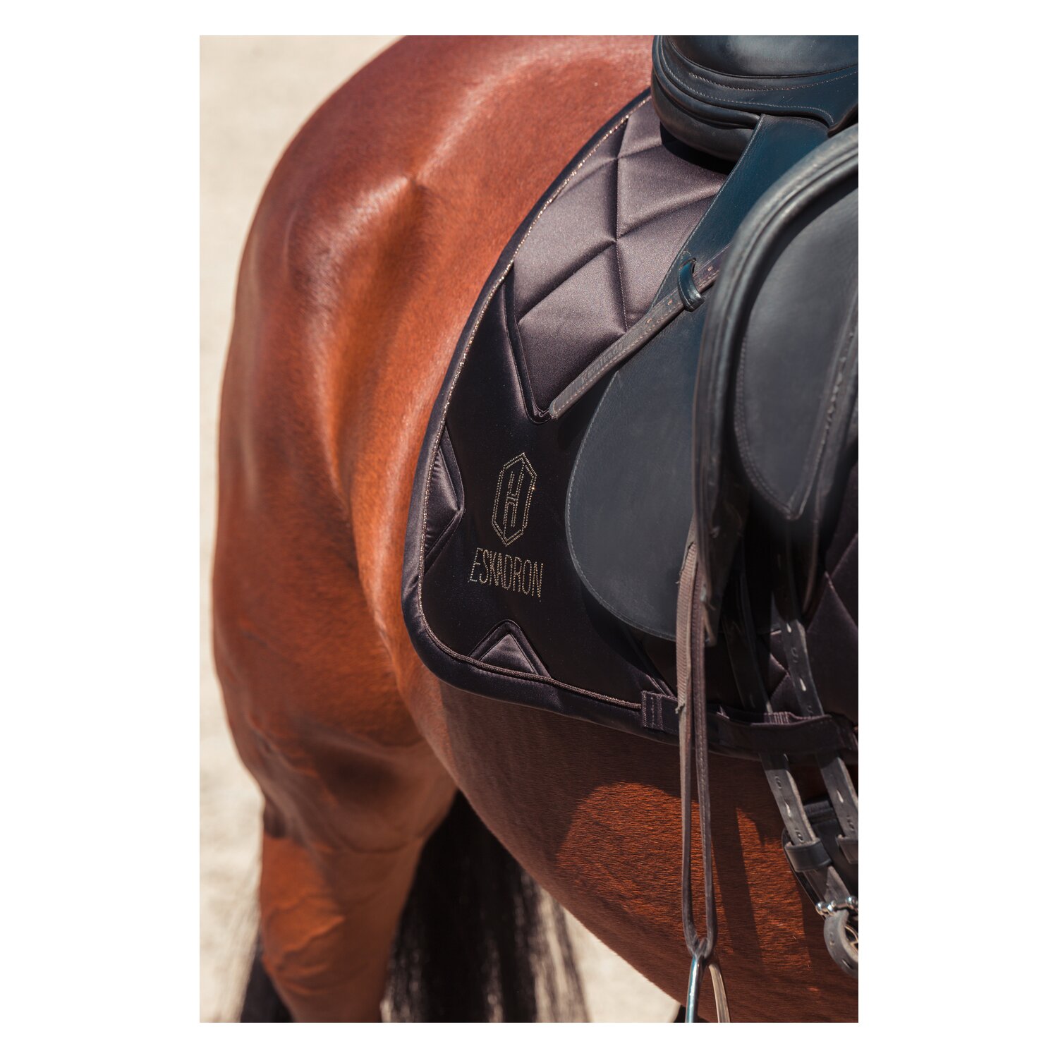 ESKADRON Heritage Schabracke Bicross Mattgloss – Ansicht 3