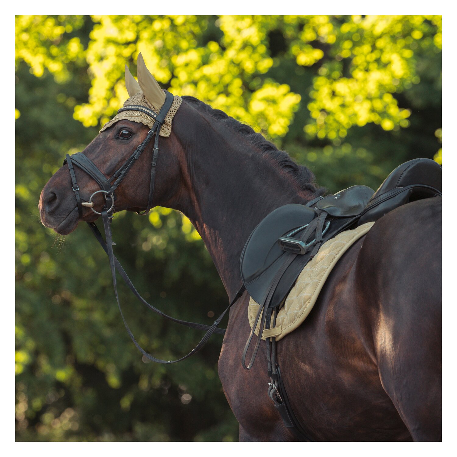 ESKADRON Heritage Schabracke Bouclé Emblem – Ansicht 3