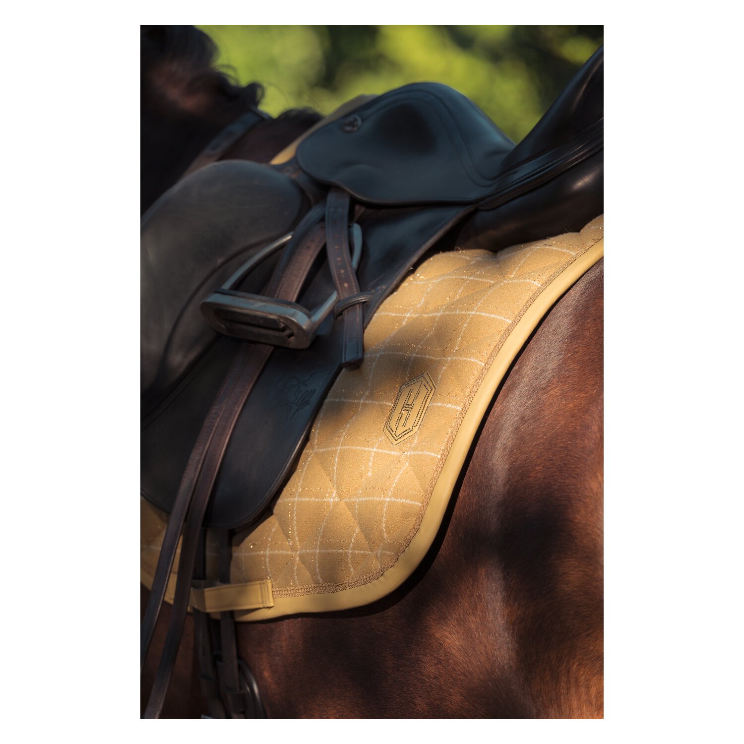 ESKADRON Heritage Schabracke Glossy – Ansicht 3