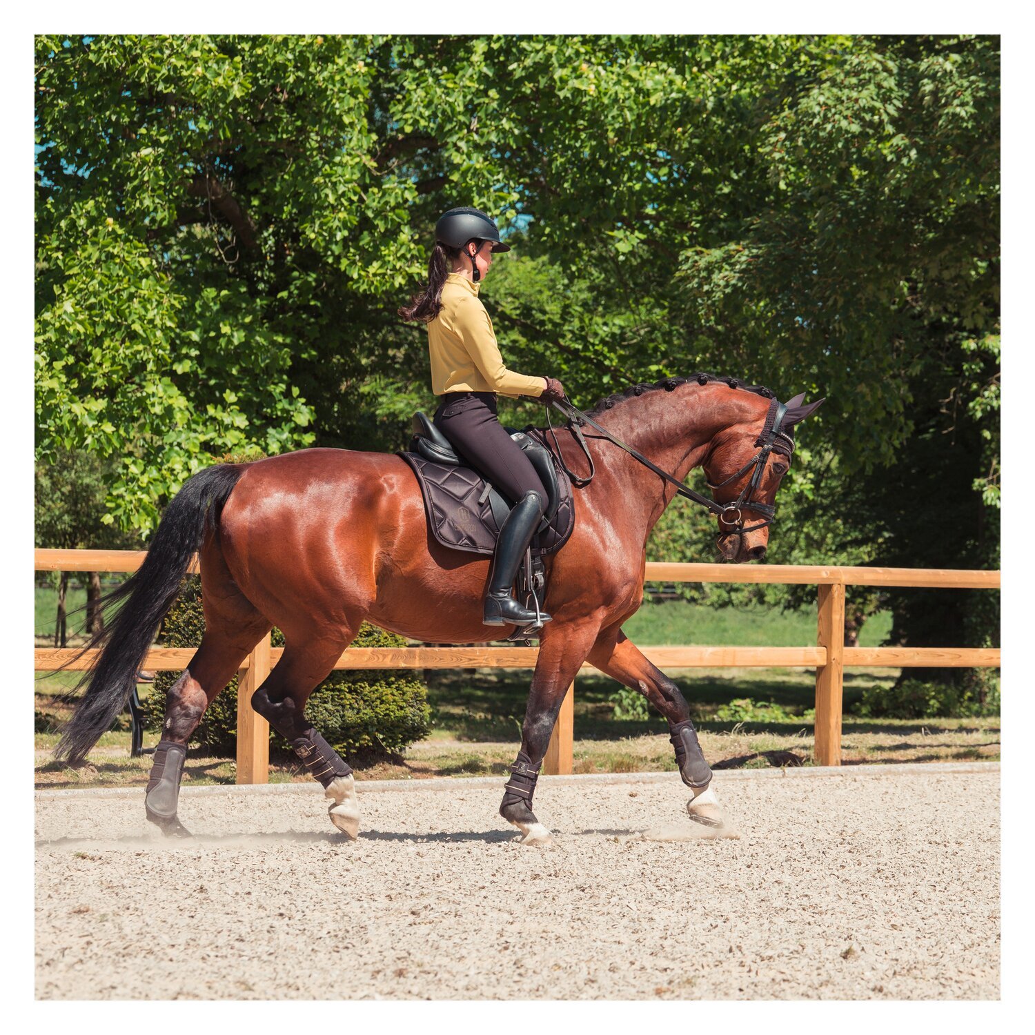 ESKADRON Heritage Fliegenohren Crystal – Ansicht 5