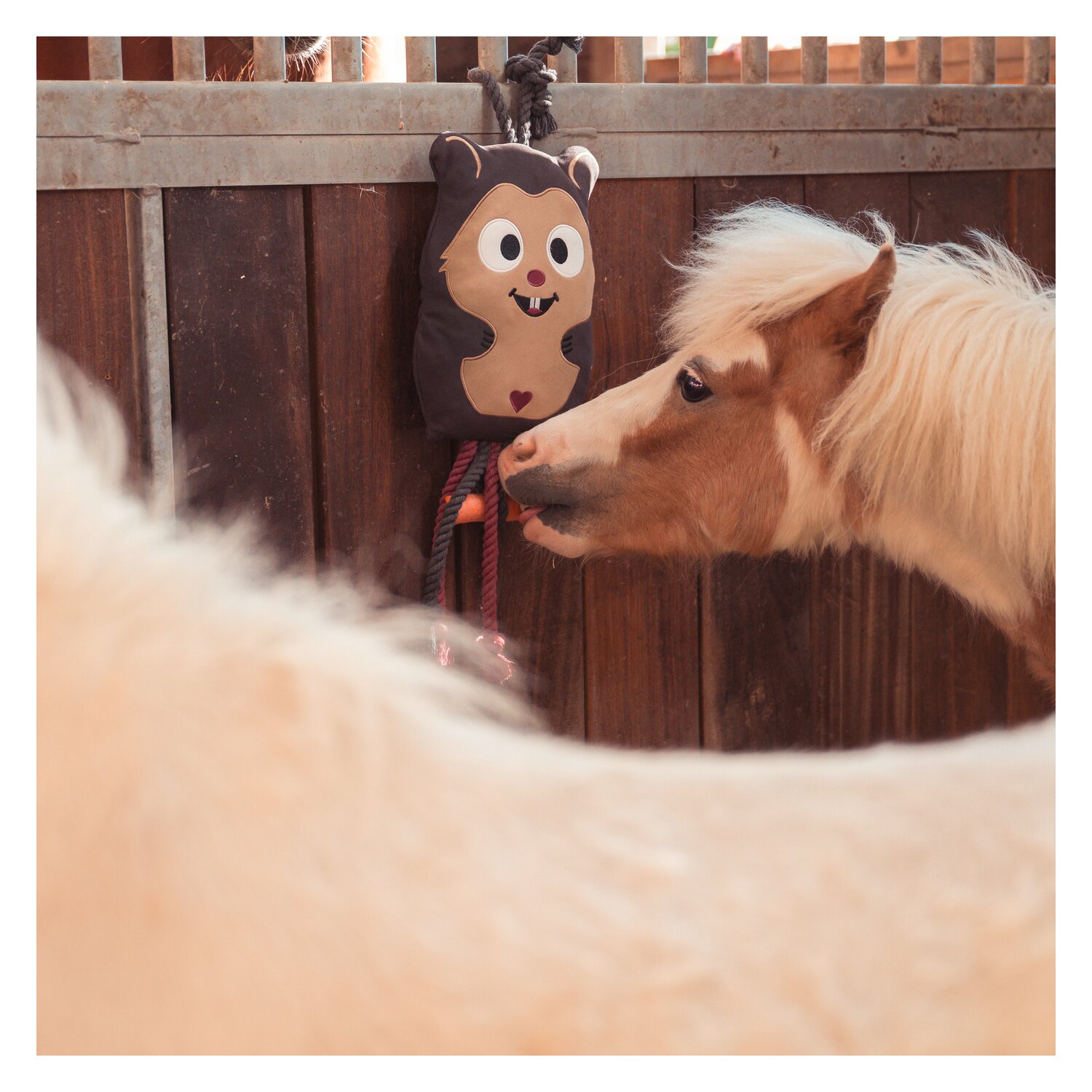 ESKADRON Heritage Pferdespielzeug Hamster – Ansicht 3