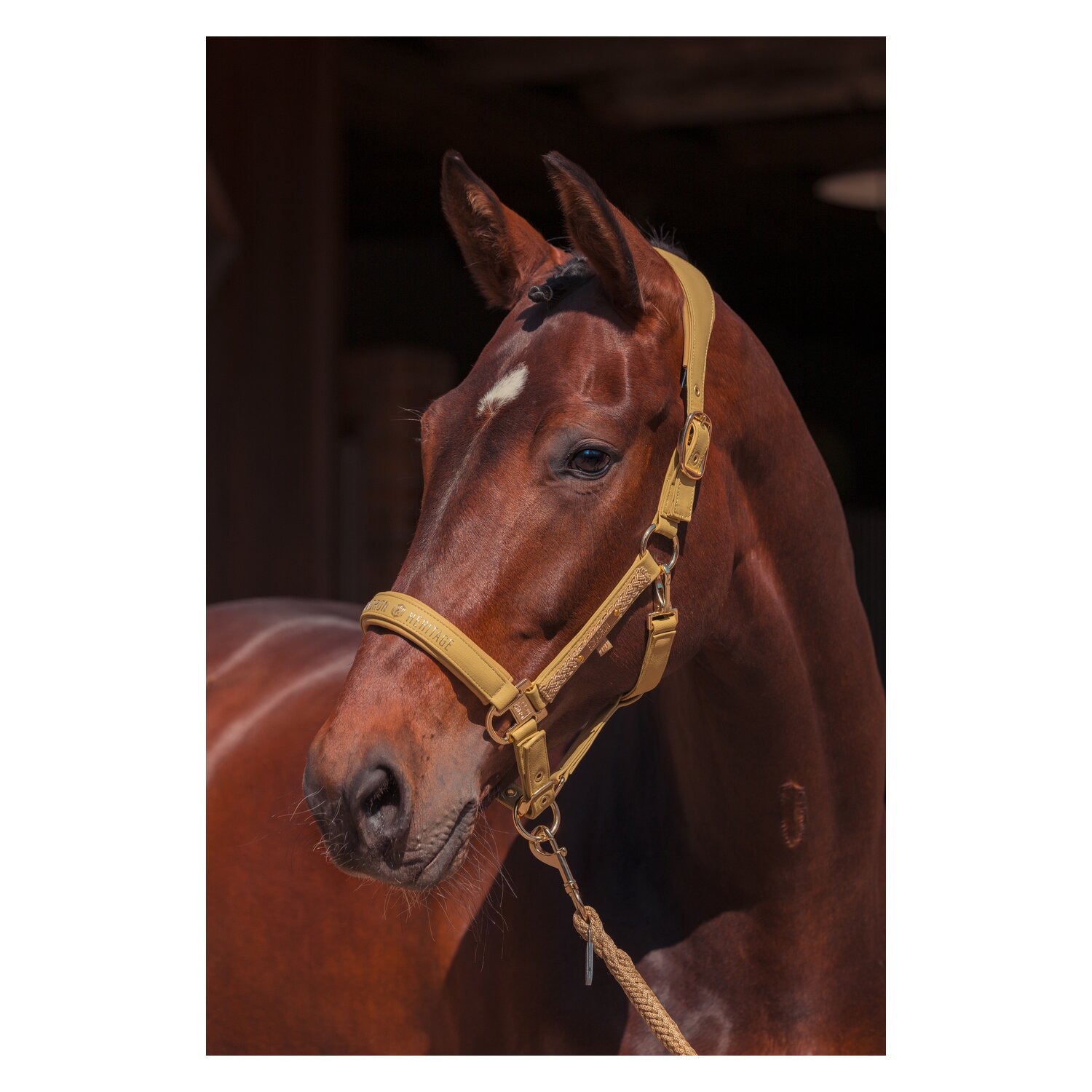 ESKADRON Heritage Halfter Faux Leather Double Pin – Ansicht 2