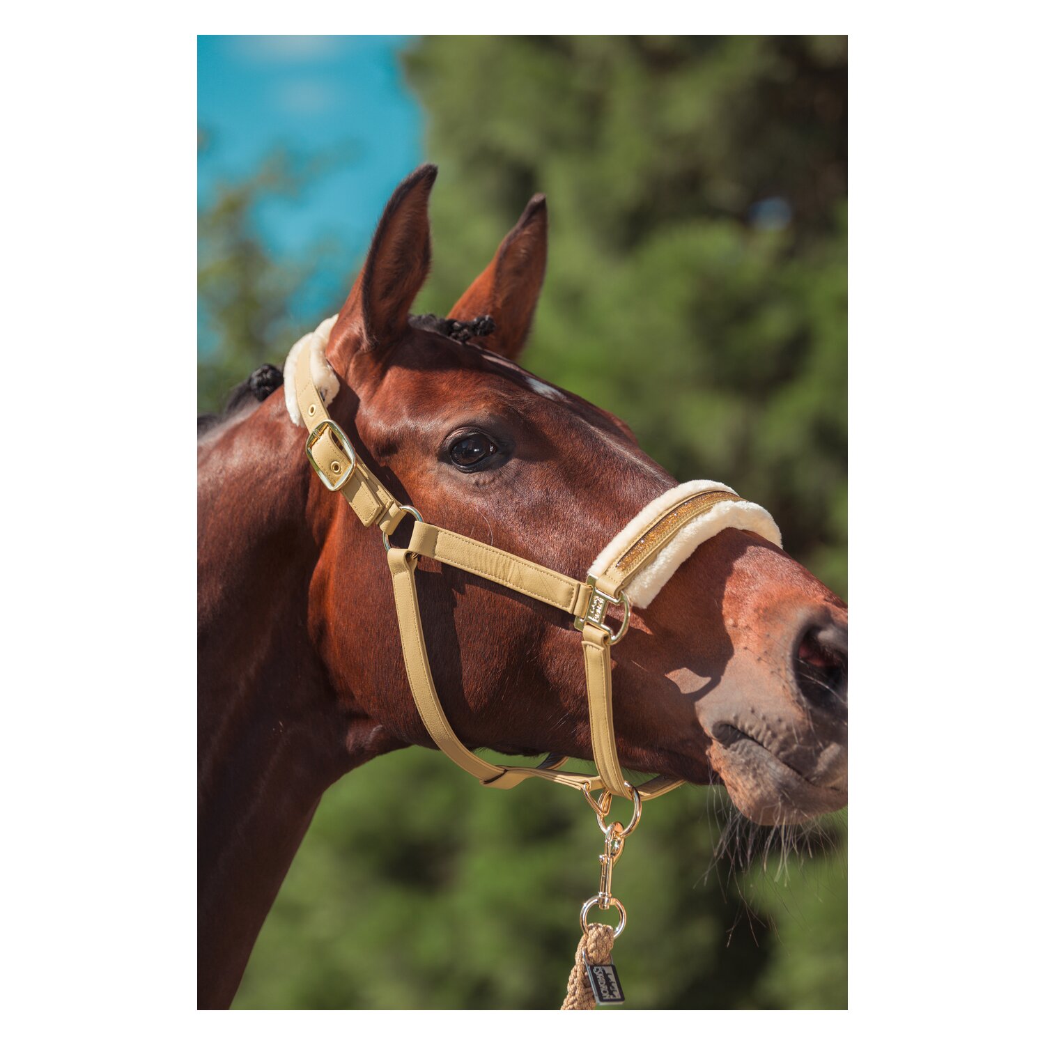 ESKADRON Heritage Halfter Faux Leather Jewel FF Double Pin – Ansicht 2