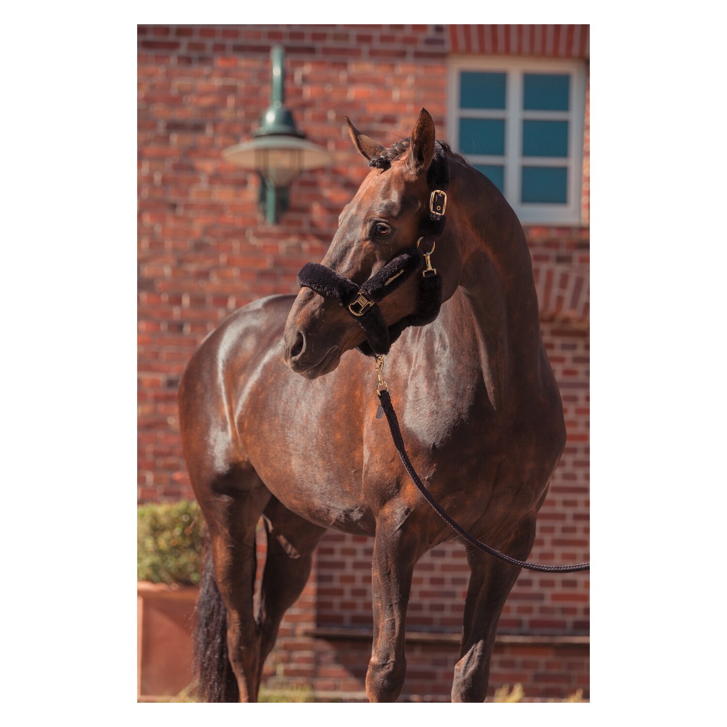 ESKADRON Heritage Halfter FauxFur Complete Double Pin – Ansicht 2