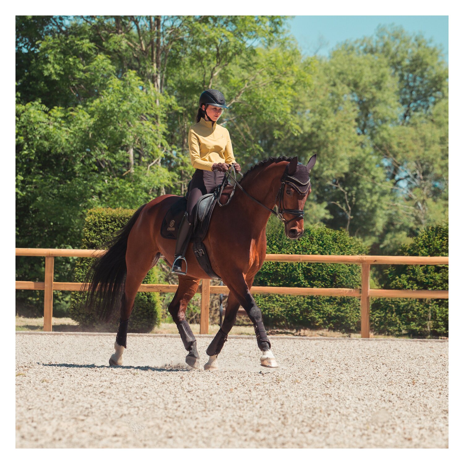 ESKADRON Heritage Gamaschen Mesh, für Vorder- und Hinterbeine – Ansicht 5