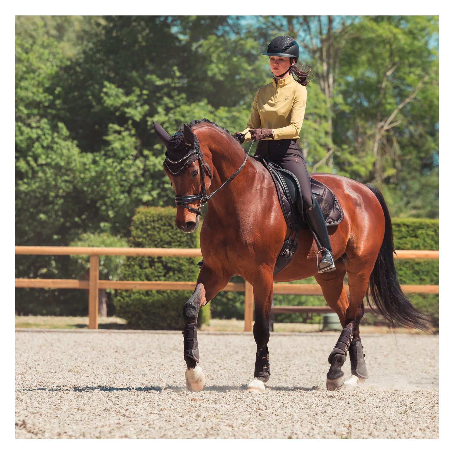 ESKADRON Heritage Gamaschen Mesh, für Vorder- und Hinterbeine – Ansicht 7