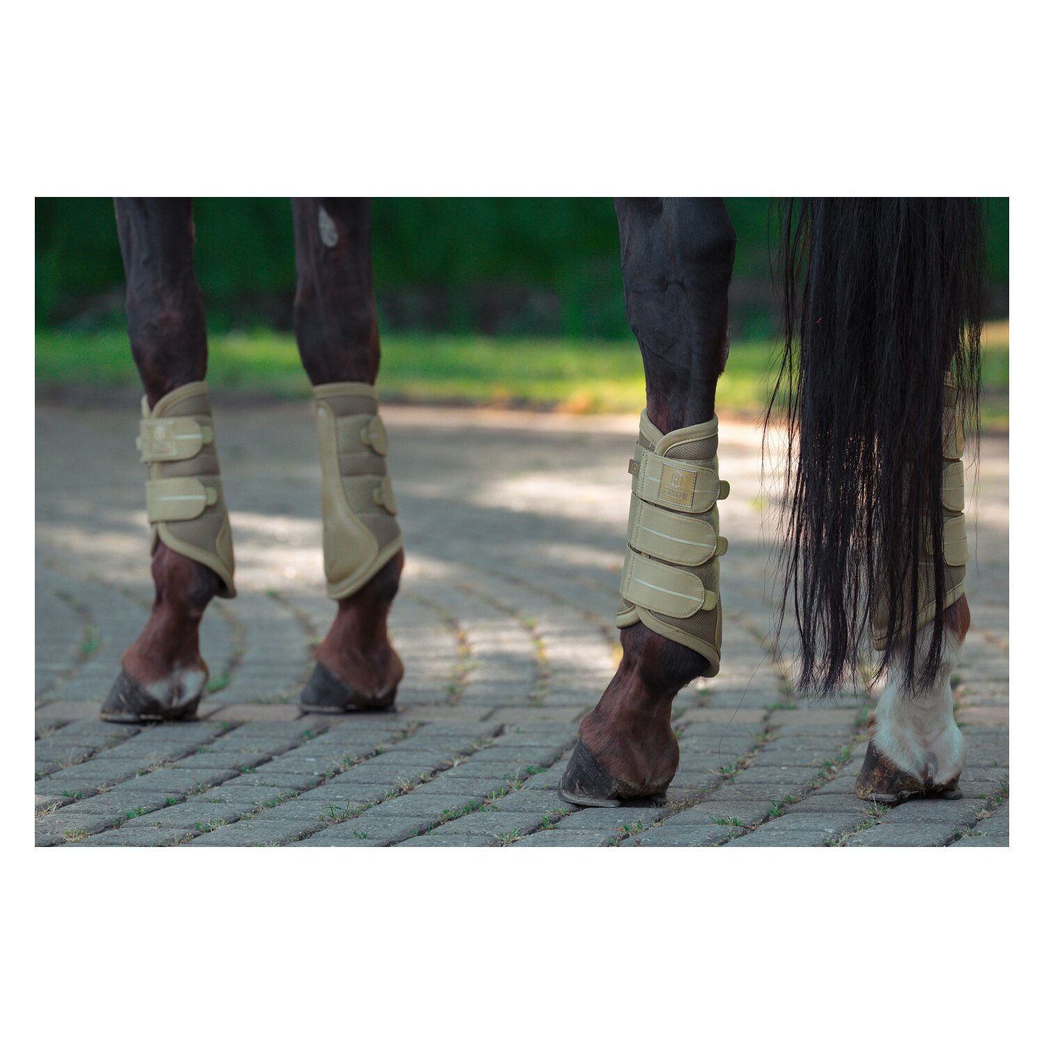 ESKADRON Heritage Gamaschen Mesh, für Vorder- und Hinterbeine – Ansicht 3