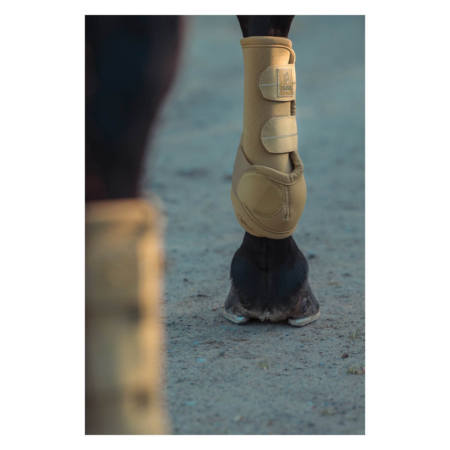 ESKADRON Heritage Gamaschen Pro Dressage, für Vorderbeine – Ansicht 2