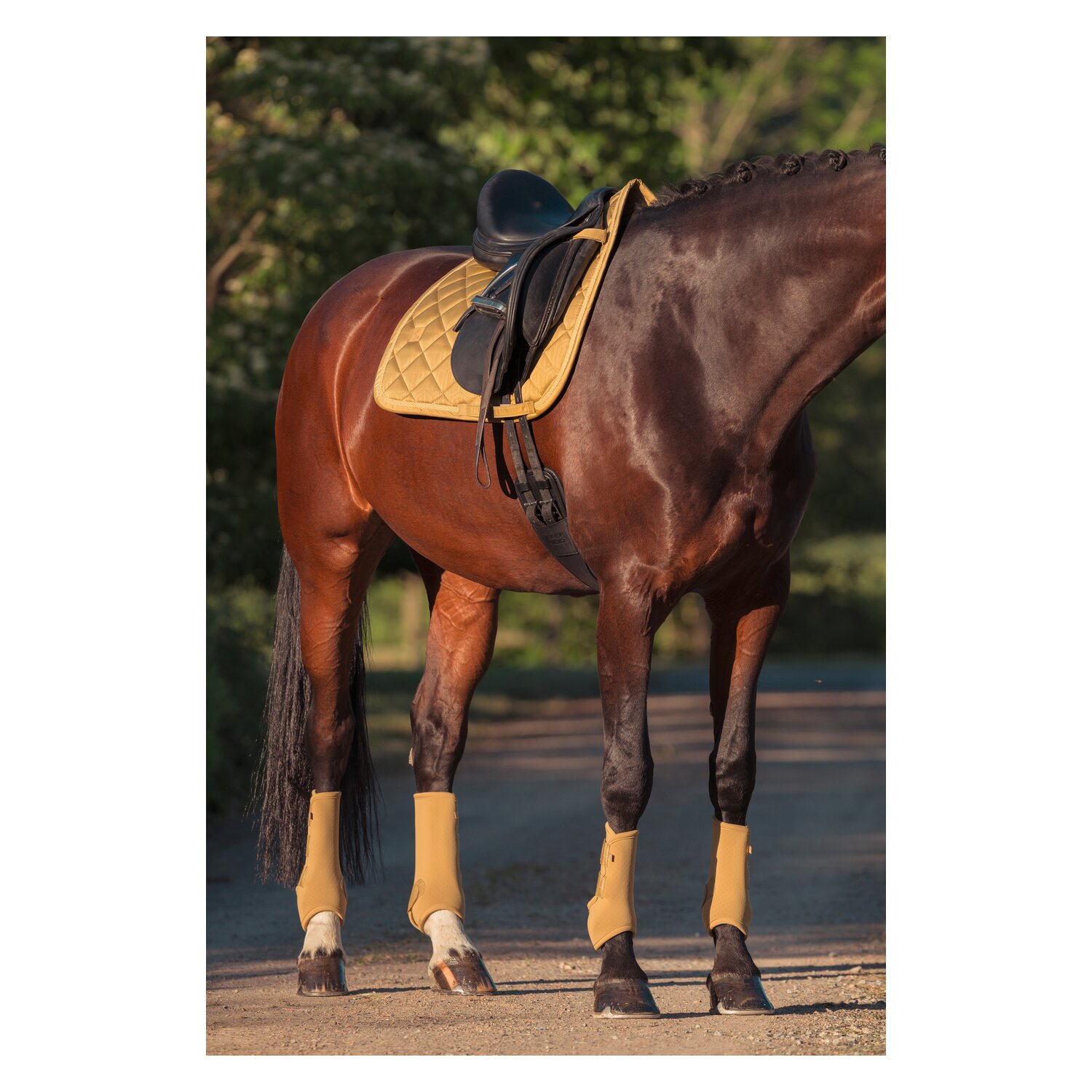 ESKADRON Heritage Gamaschen Pro Dressage, für Hinterbeine – Ansicht 2