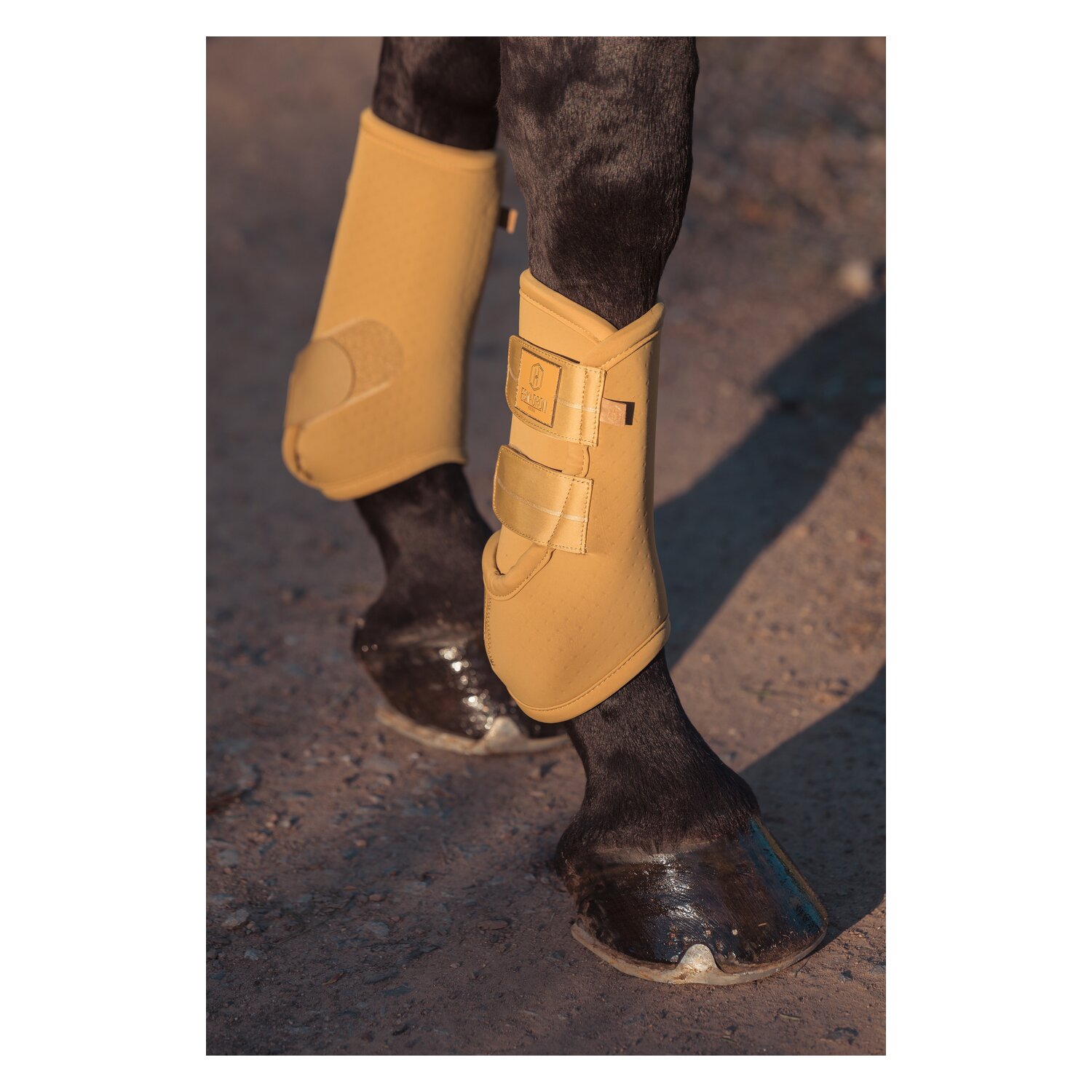 ESKADRON Heritage Gamaschen Pro Dressage, für Hinterbeine – Ansicht 3