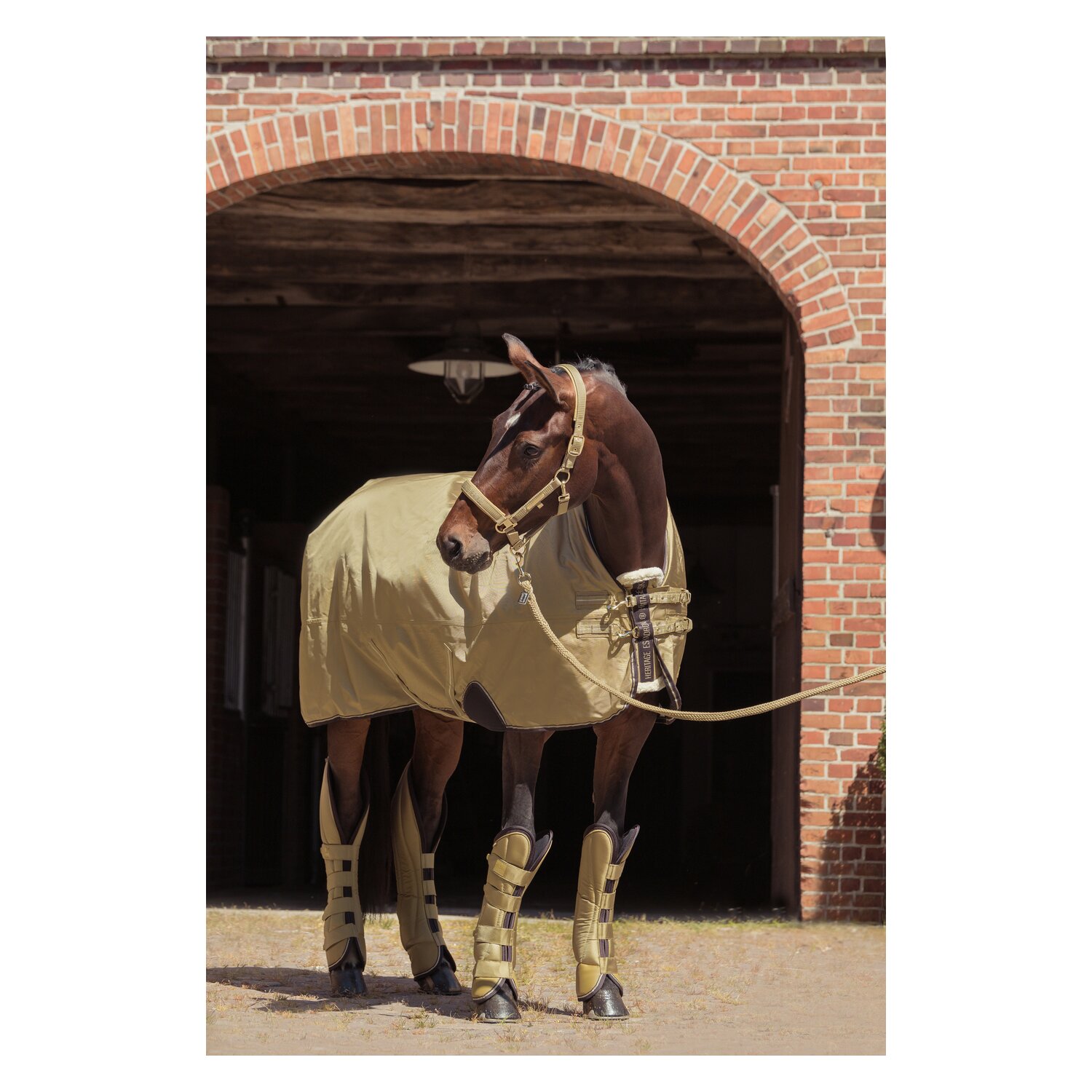 ESKADRON Heritage Transportgamaschen – Ansicht 3