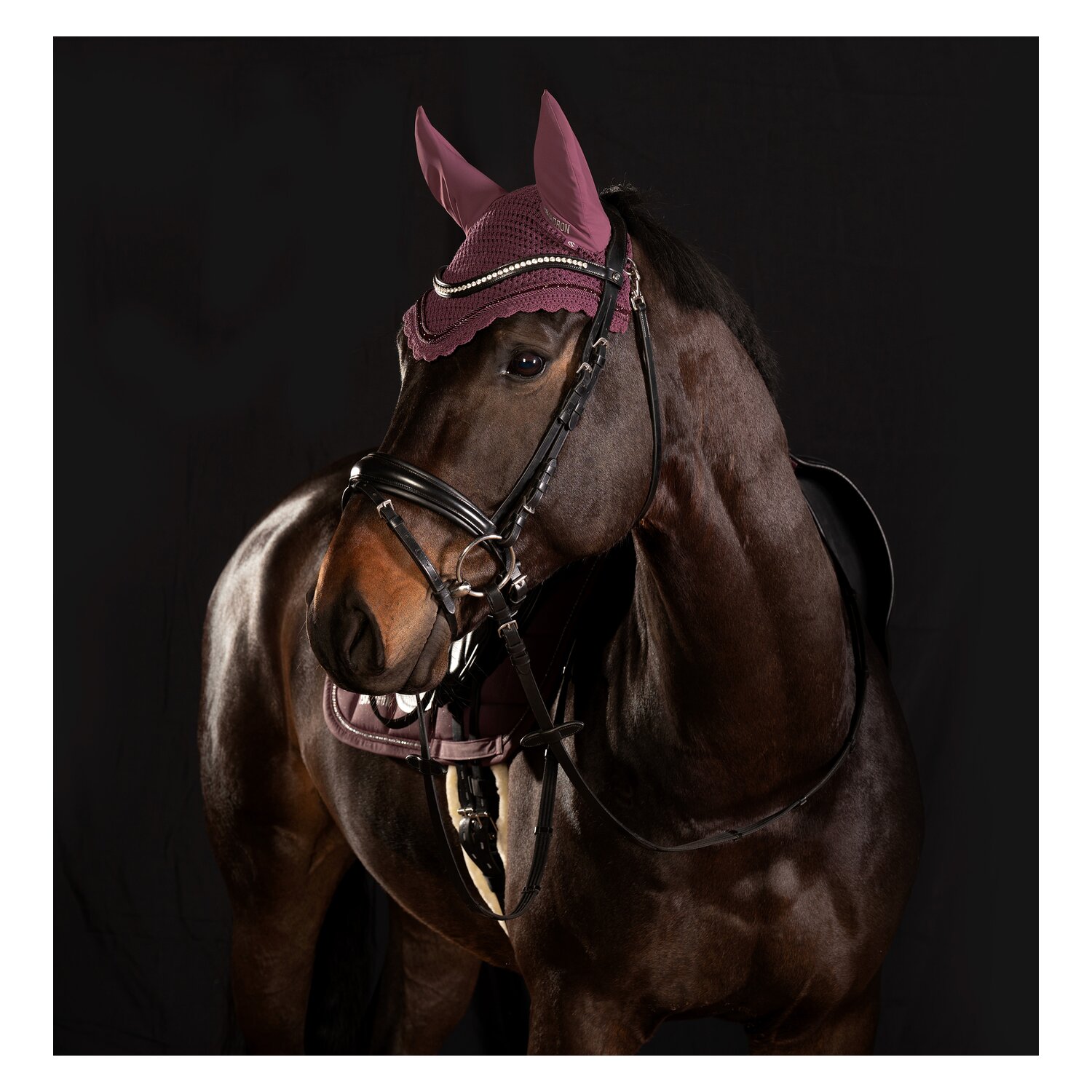 ESKADRON Classic Sports Fliegenohren Jewel &ndash; Ansicht 2