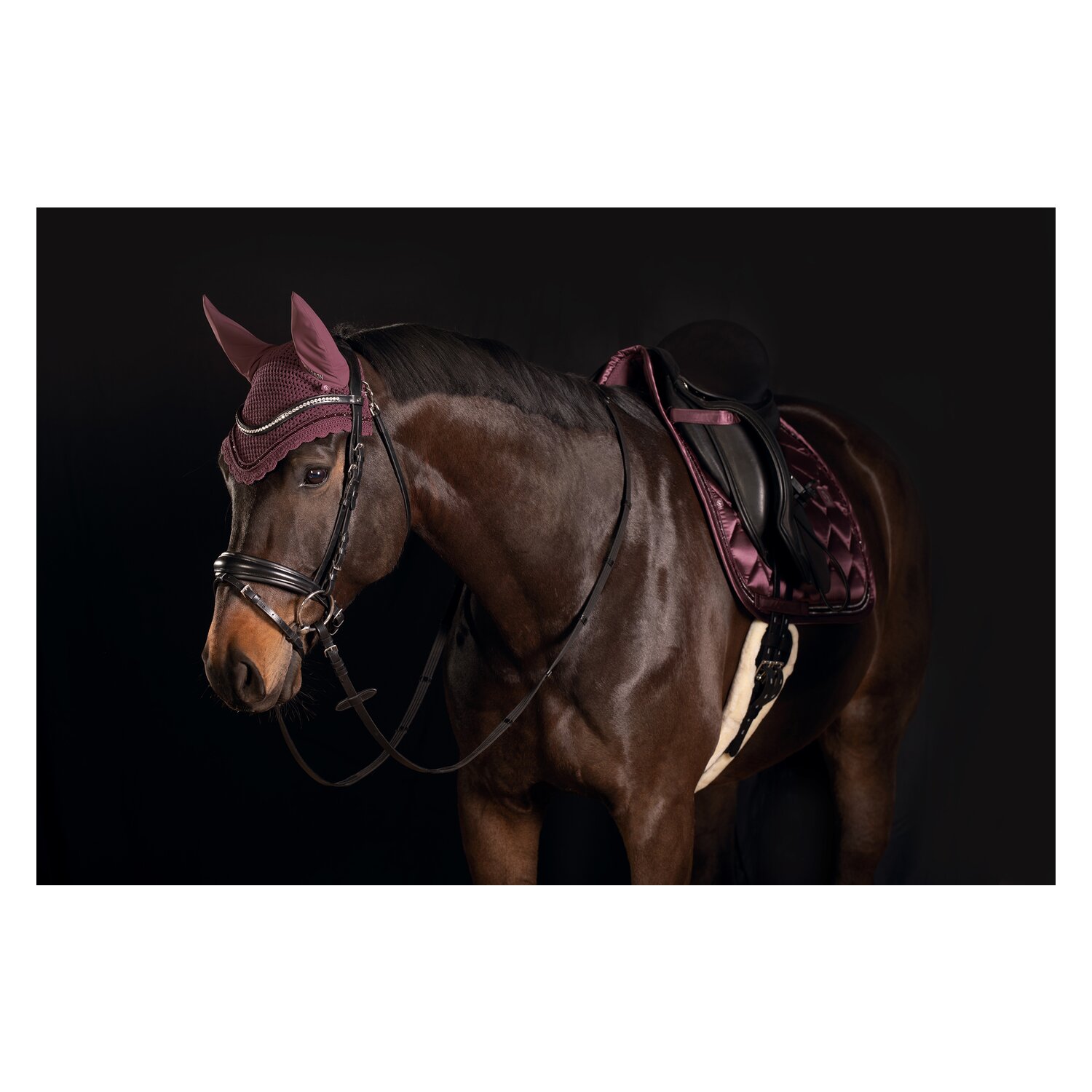 ESKADRON Classic Sports Fliegenohren Jewel &ndash; Ansicht 4