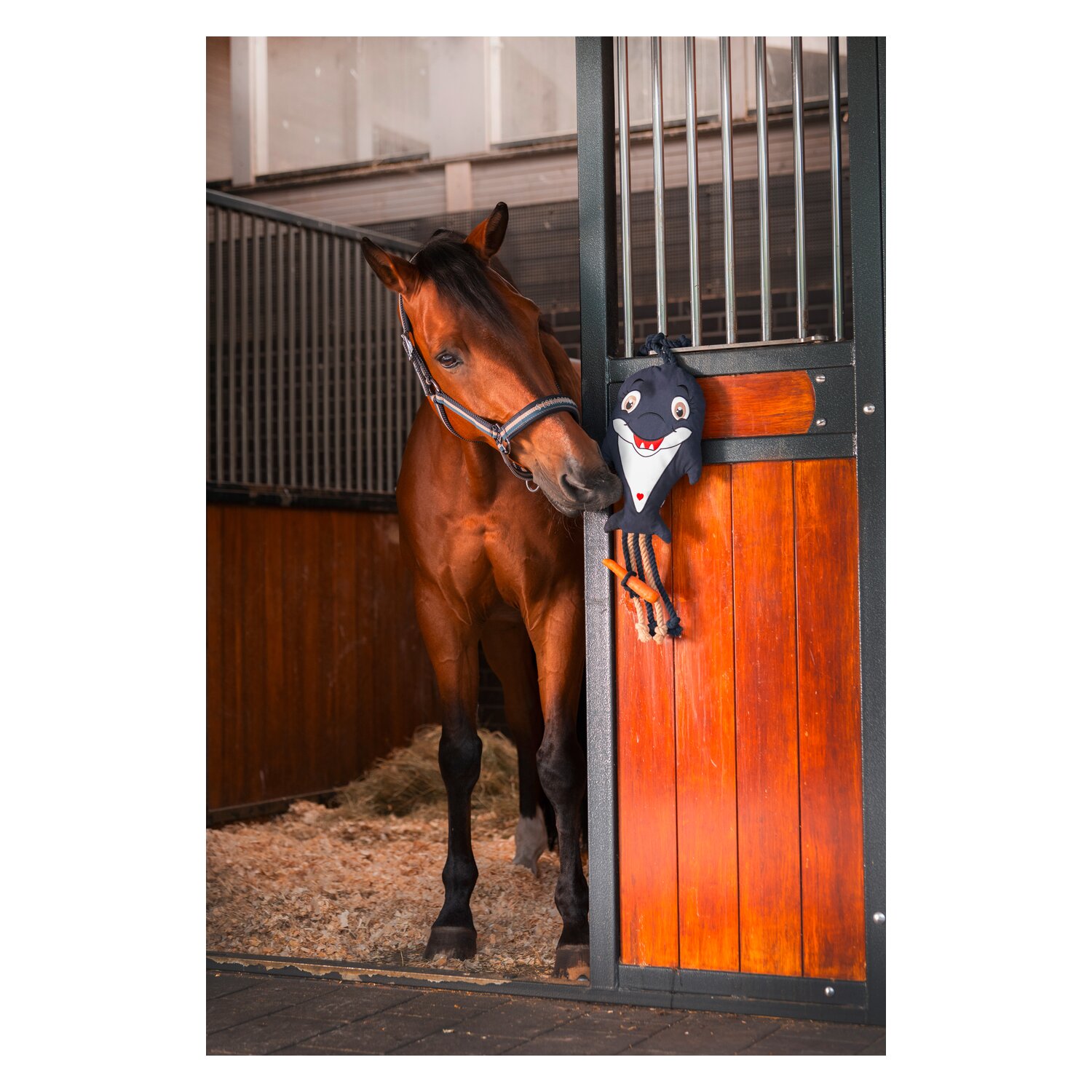 ESKADRON Classic Sports Pferdespielzeug Dolphin &ndash; Ansicht 3