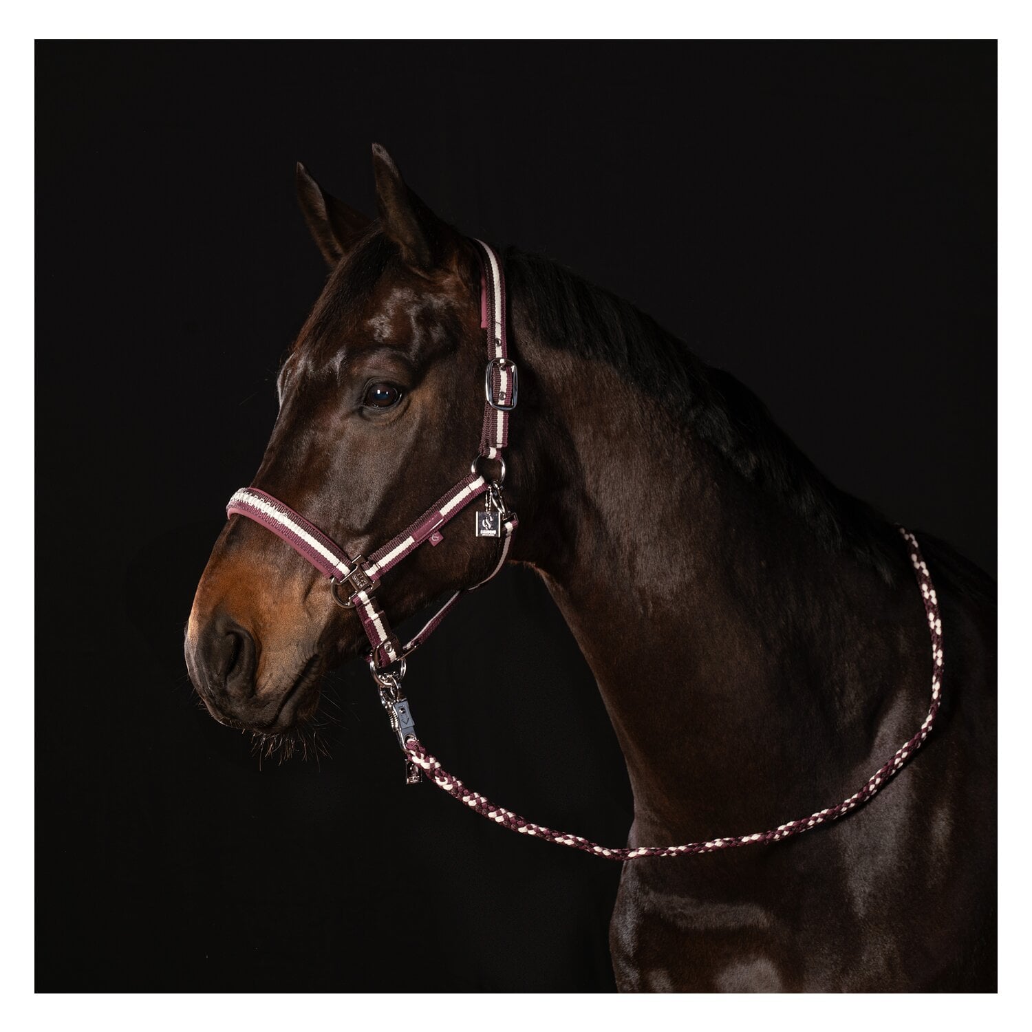 ESKADRON Classic Sports Halfter Double Pin &ndash; Ansicht 5