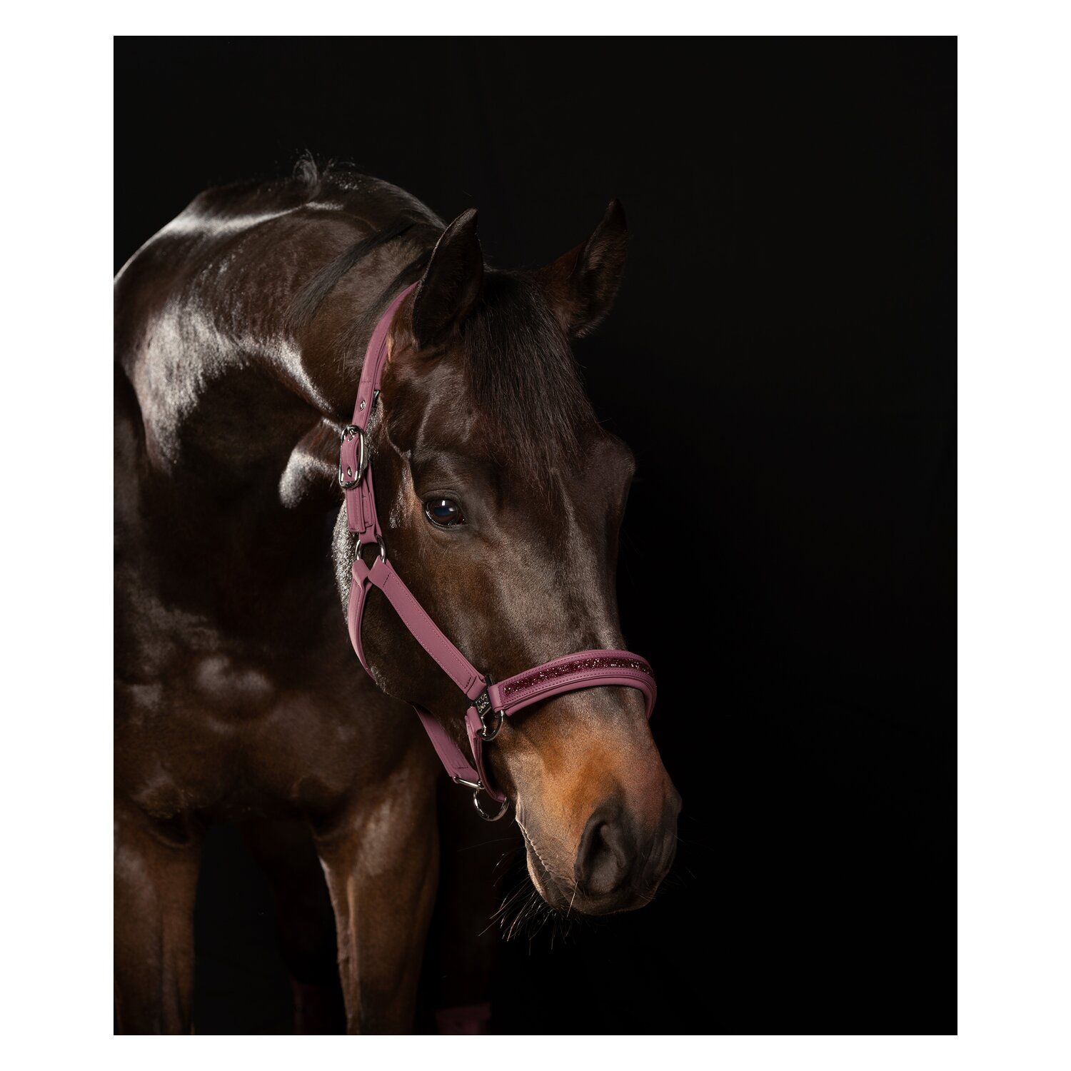 ESKADRON Classic Sports Halfter Softshell Jewel Double Pin &ndash; Ansicht 4