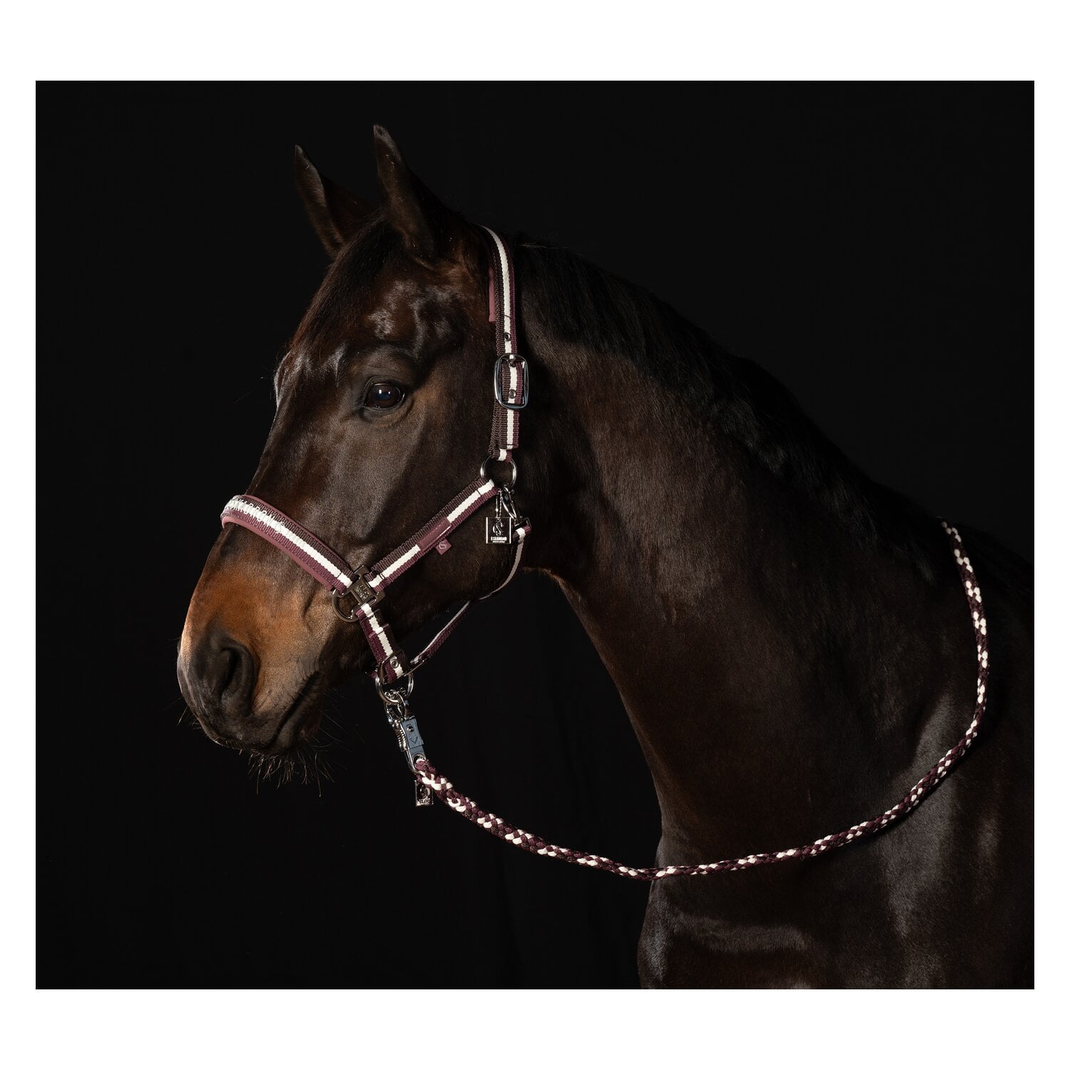 ESKADRON Classic Sports Führ- und Anbindestrick Regular &ndash; Ansicht 6