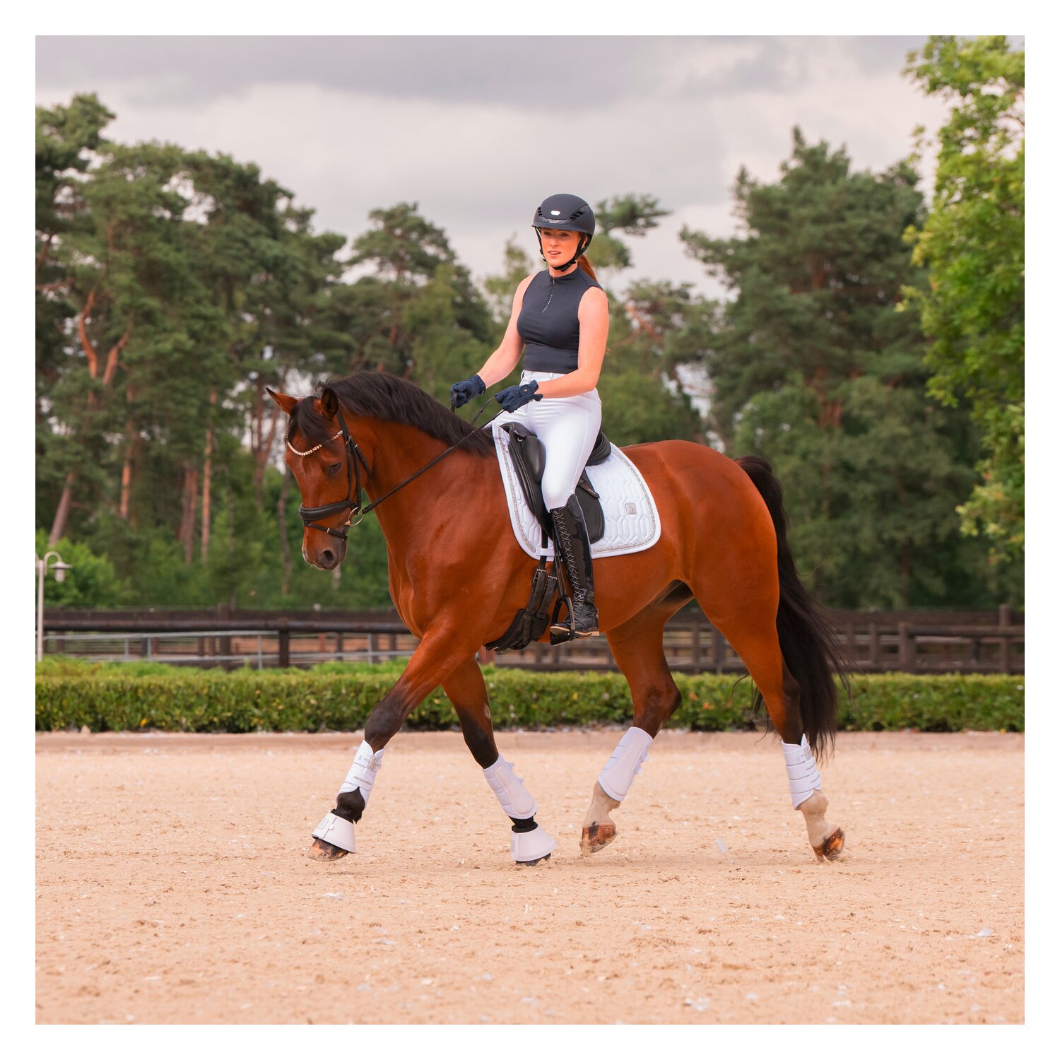 ESKADRON Classic Sports Gamaschen Softshell Jewel, für Vorder- und Hinterbeine &ndash; Ansicht 4