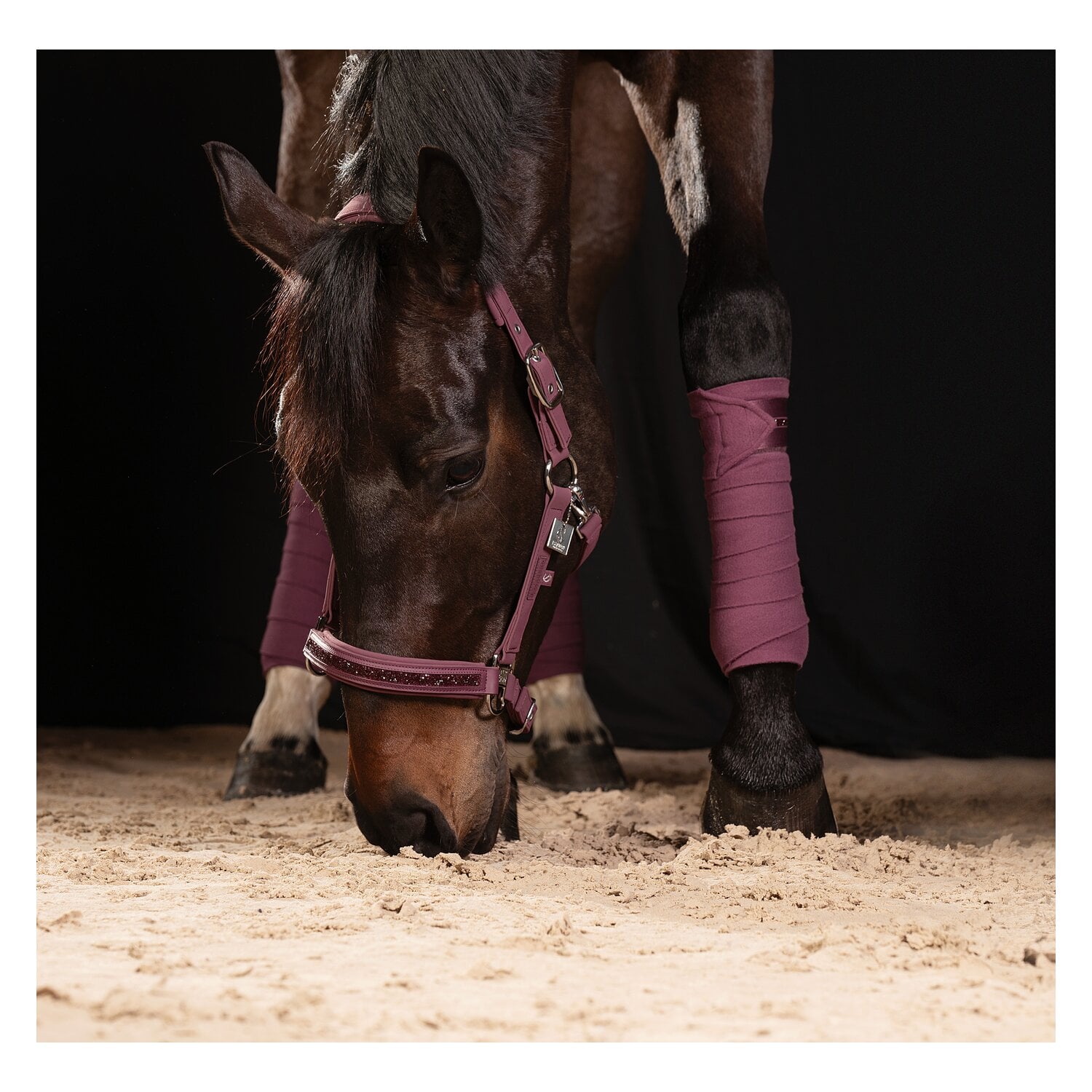 ESKADRON Classic Sports Fleecebandagen Fleece Jewel &ndash; Ansicht 4