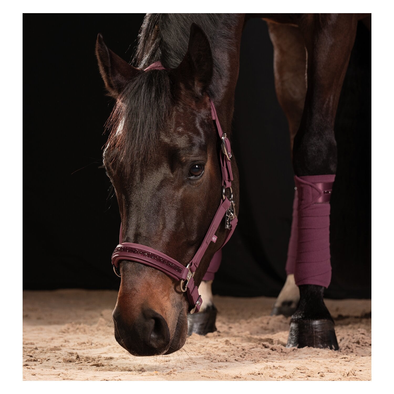 ESKADRON Classic Sports Fleecebandagen Fleece Jewel &ndash; Ansicht 5