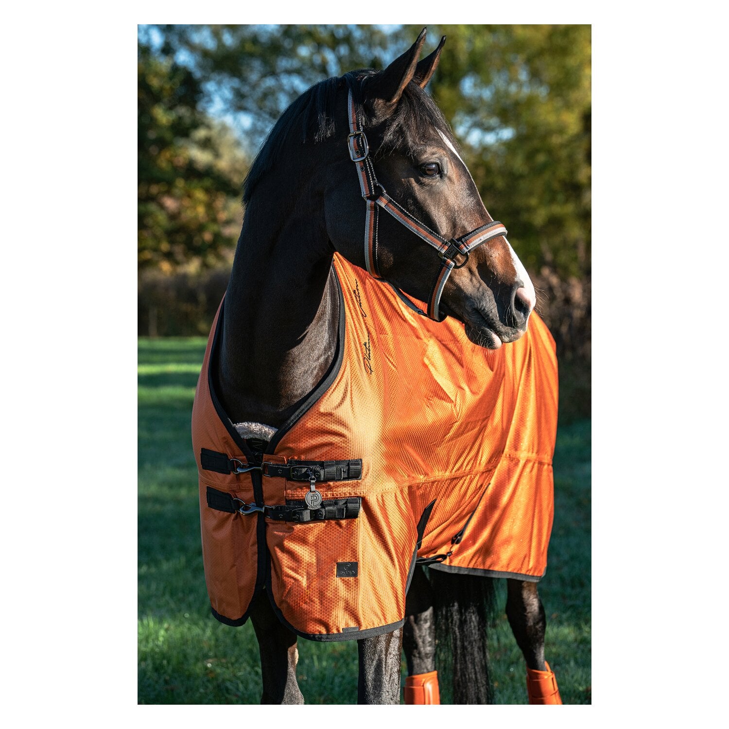 ESKADRON Platinum Halfter Lightweight Double Pin &ndash; Ansicht 3