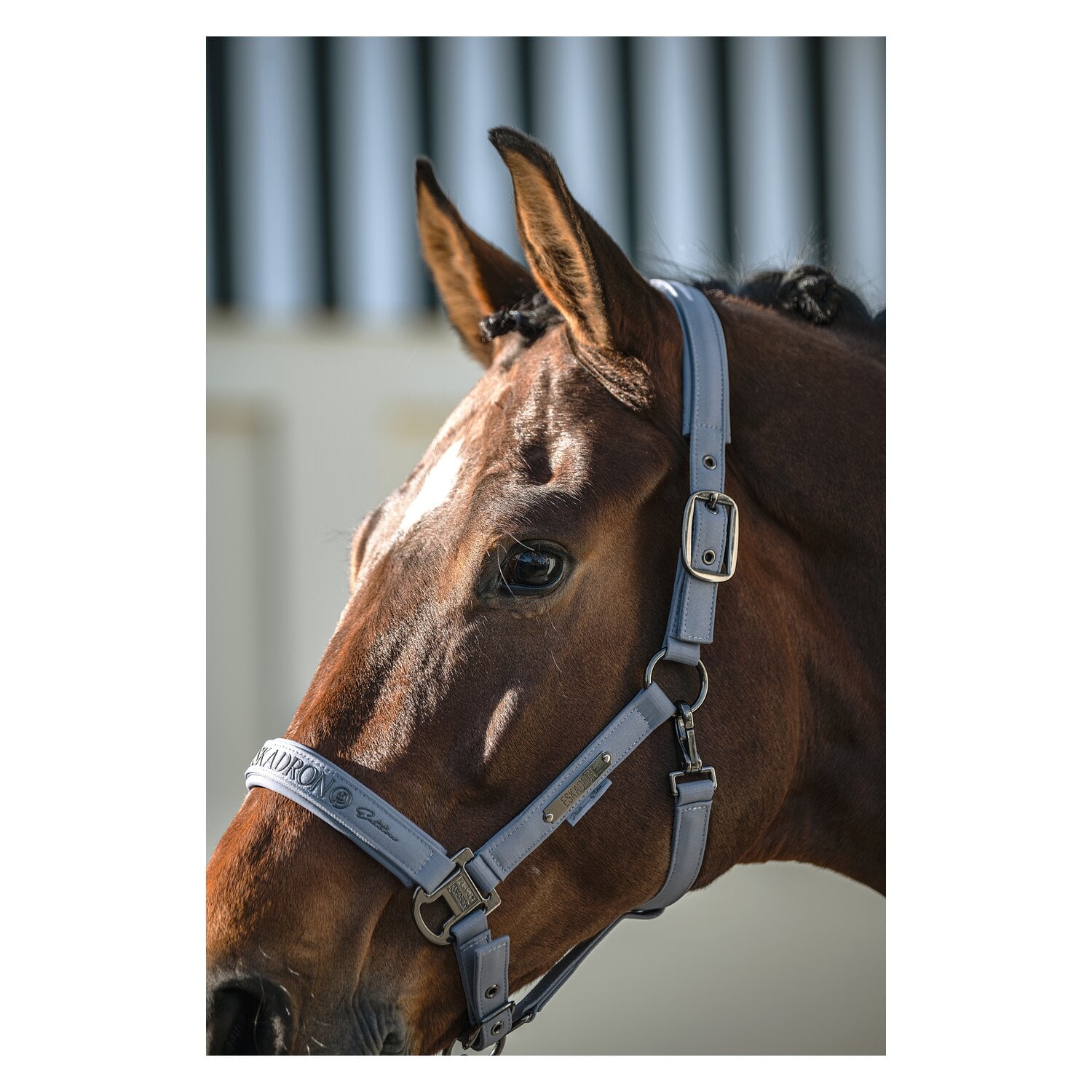 ESKADRON Platinum Halfter Sparkle Double Pin &ndash; Ansicht 2
