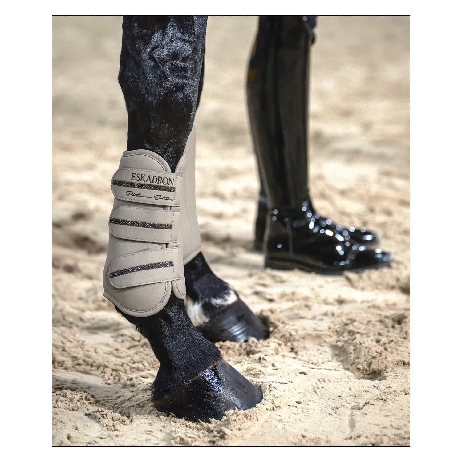 ESKADRON Platinum Gamaschen Allround Boots, für die Vorderbeine &ndash; Ansicht 3