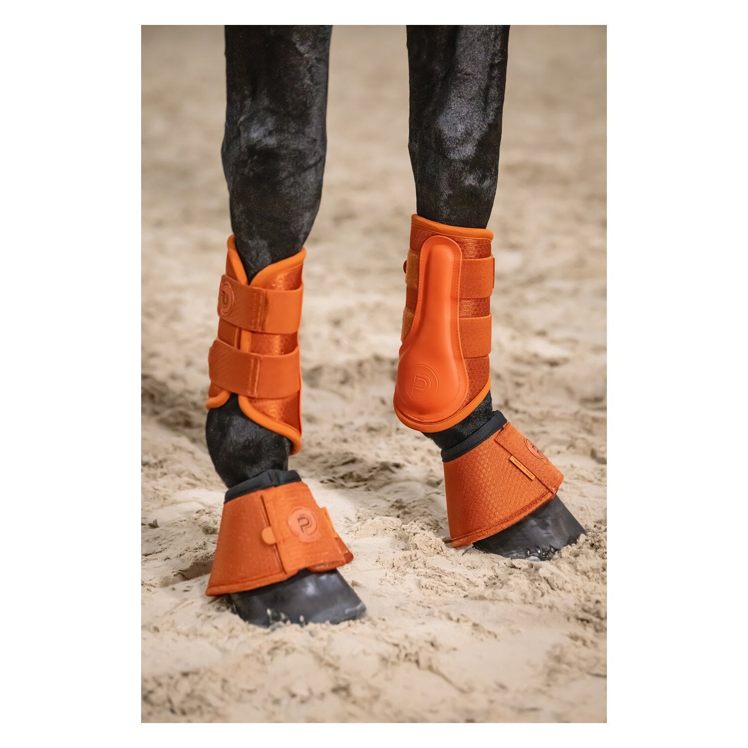 ESKADRON Platinum Hufglocken 1200D &ndash; Ansicht 2