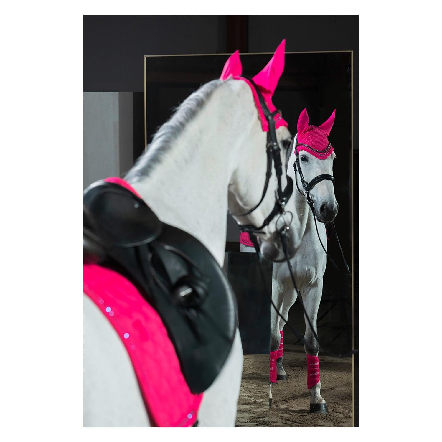 ESKADRON Dynamic Schabracke Sparkle Crystal &ndash; Ansicht 3