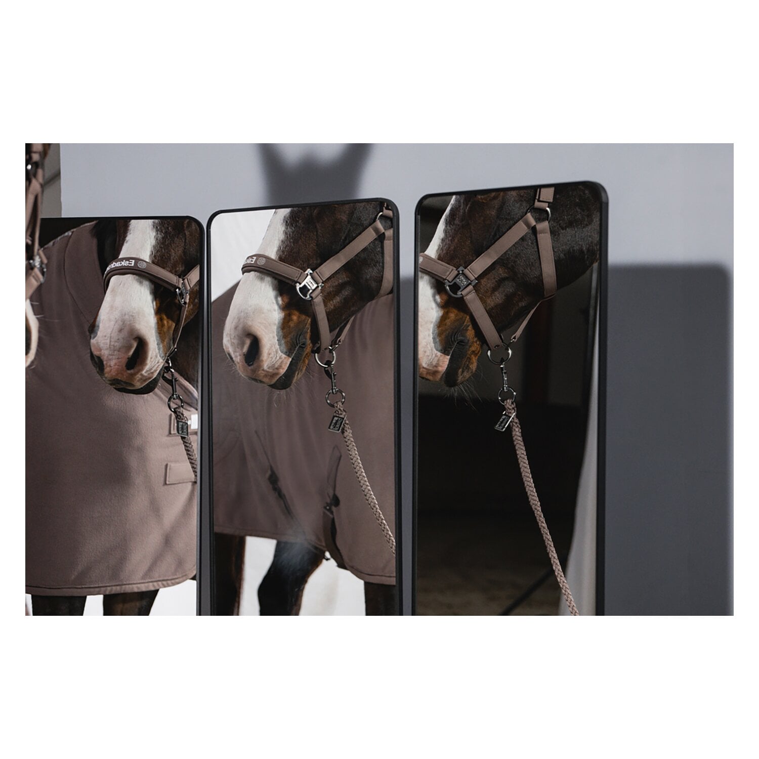 ESKADRON Dynamic Halfter Softshell Double Pin &ndash; Ansicht 3