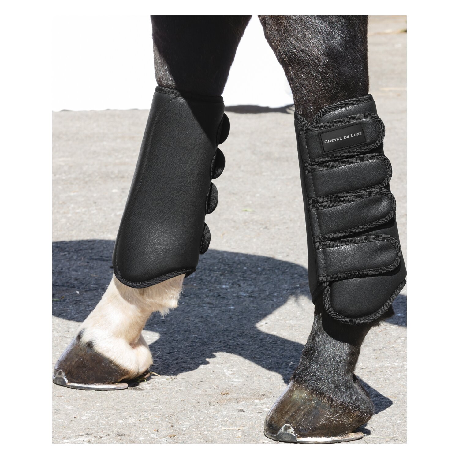 Cheval de Luxe Dressurgamaschen, hinten – Ansicht 2