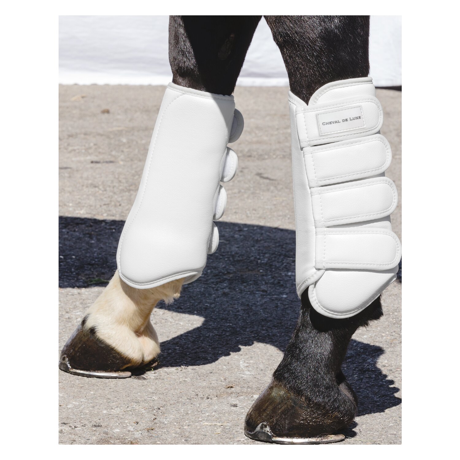 Cheval de Luxe Dressurgamaschen, hinten – Ansicht 2