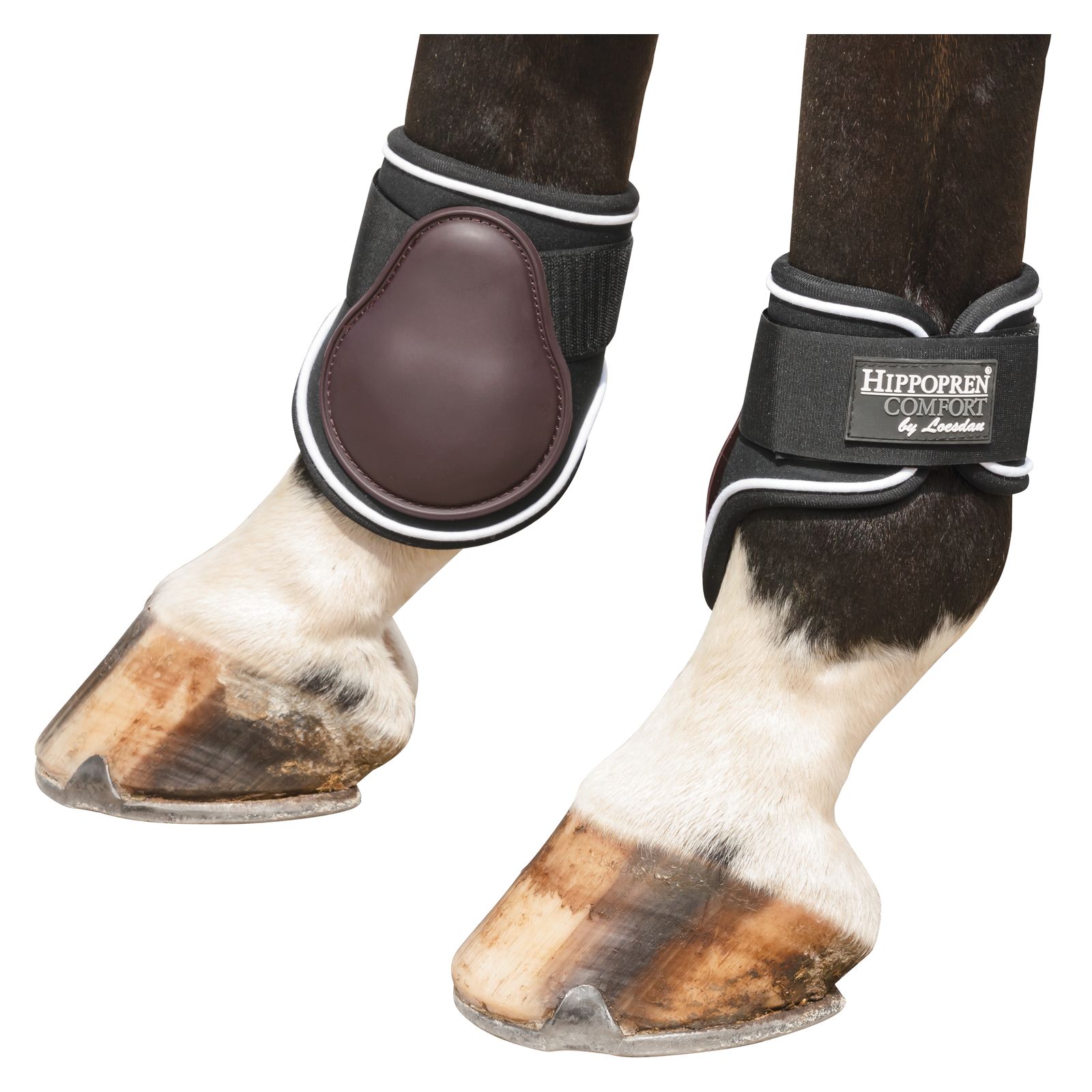 HIPPOPREN COMFORT Streichkappen Barcelona, hinten – Ansicht 2