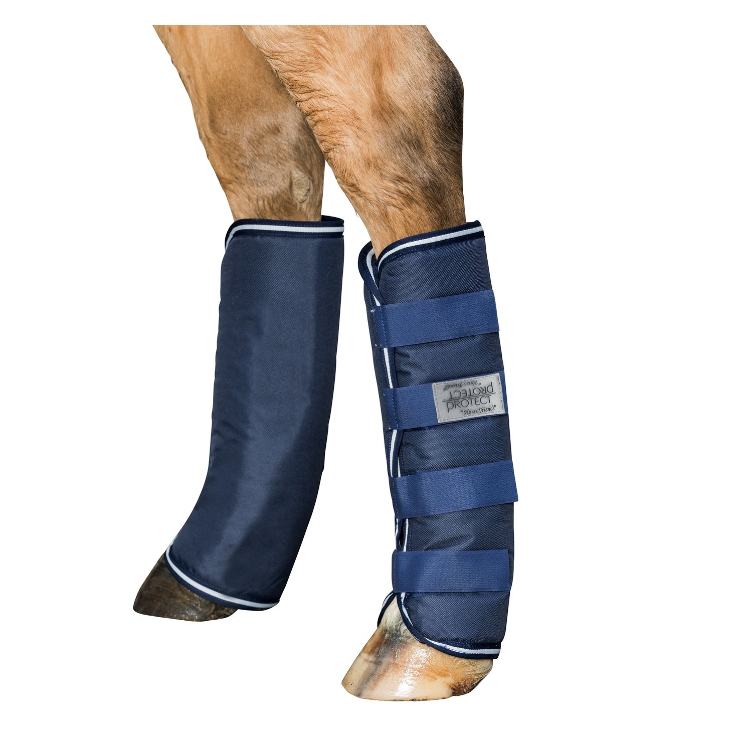 PROTECT by Horse-Friends Pony-Transportgamaschen – Ansicht 2