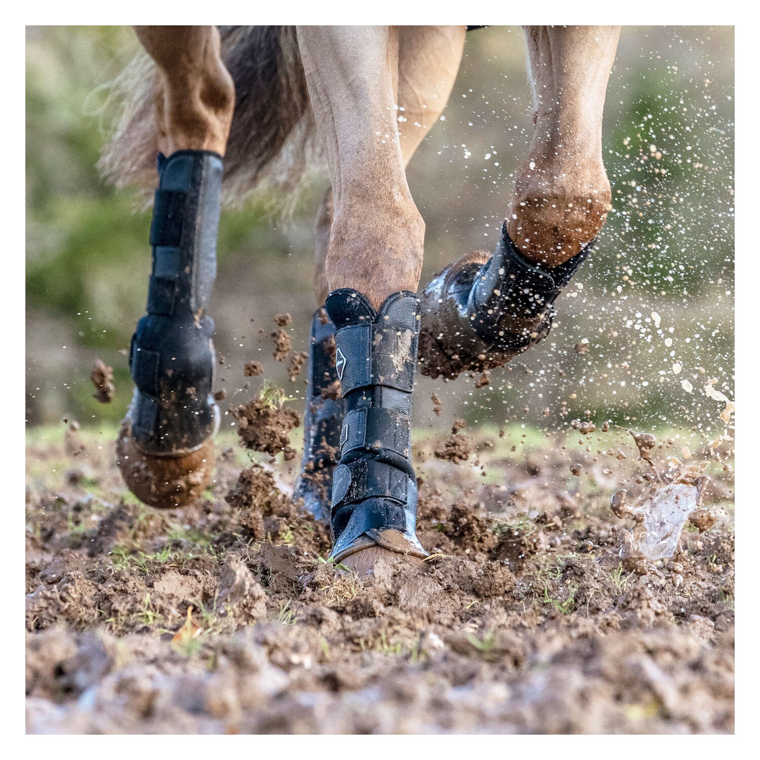 LeMieux Weidegamaschen Für Vorder- und Hinterbeine – Ansicht 3