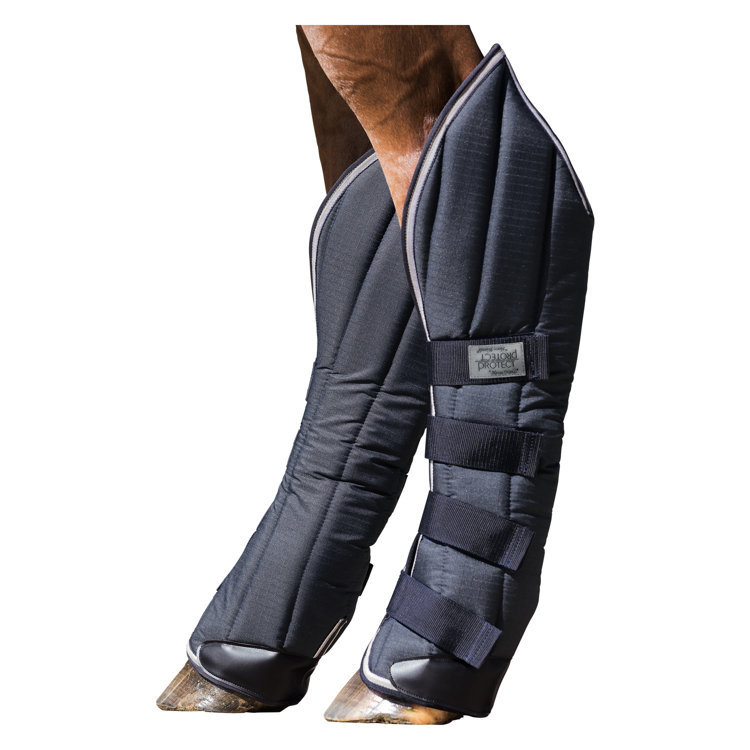 PROTECT by Horse-Friends Transportgamaschen Premium – Ansicht 2