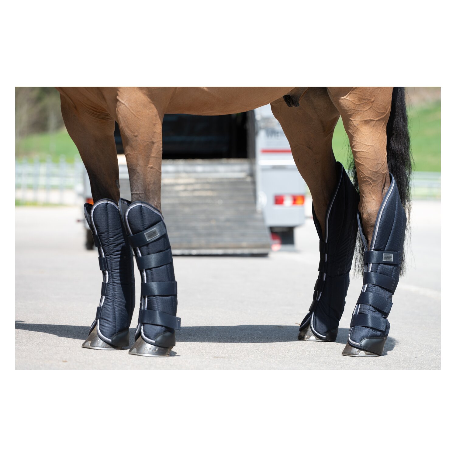 PROTECT by Horse-Friends Transportgamaschen Premium – Ansicht 3