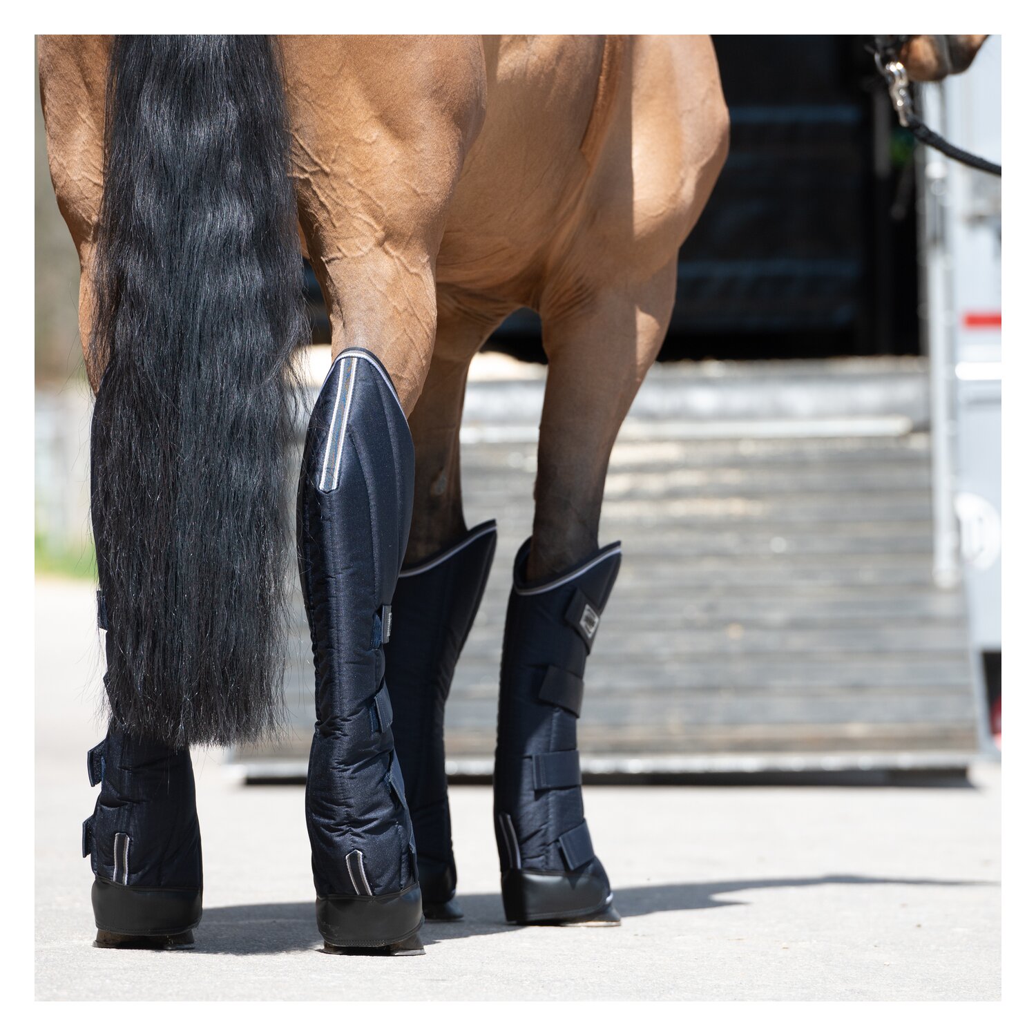 PROTECT by Horse-Friends Transportgamaschen Premium – Ansicht 4