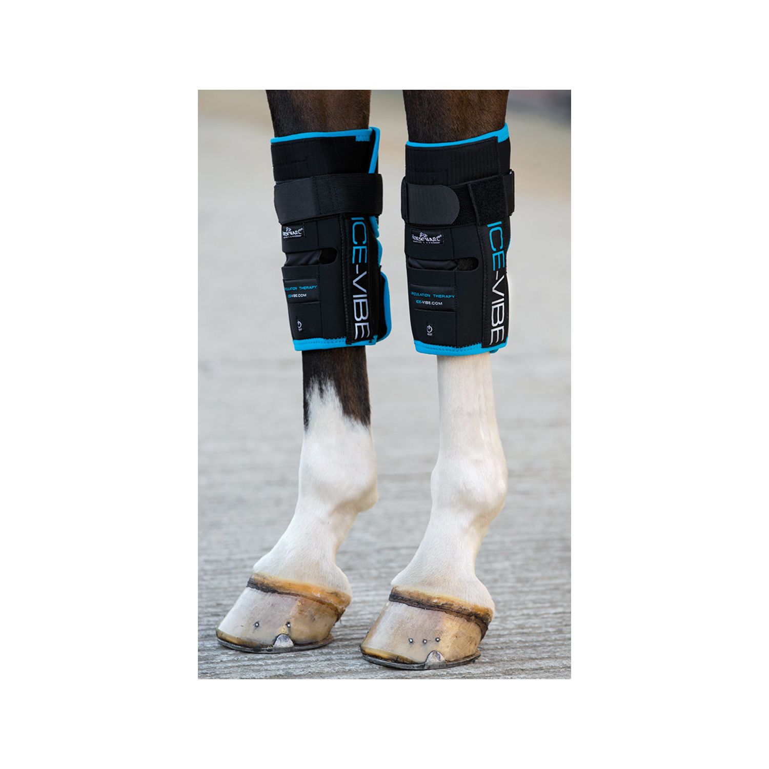 Horseware Ice-Vibe Vorderfußwurzelgelenk-Gamaschen – Ansicht 1
