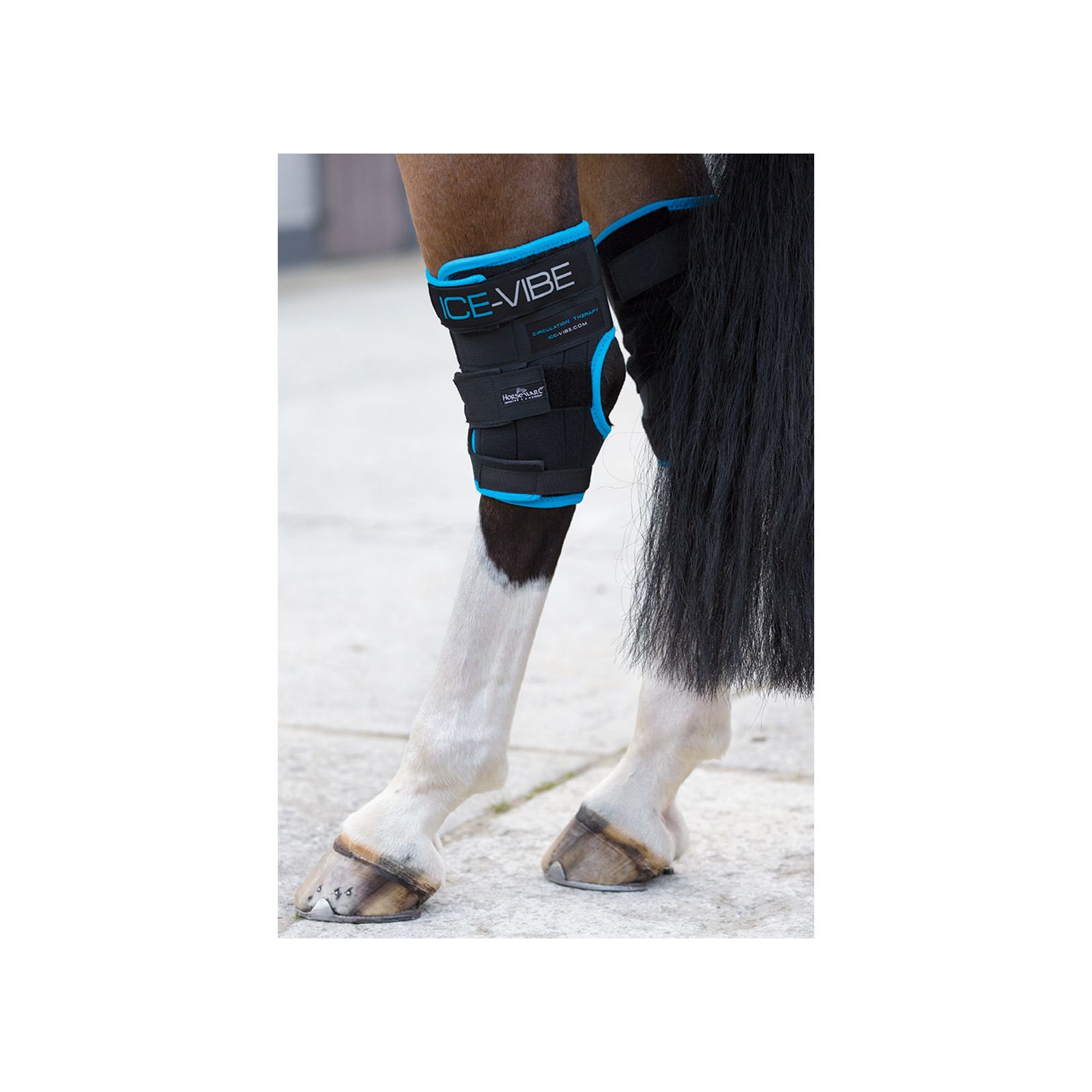 HORSEWARE Ice-Vibe Sprunggelenk-Gamaschen &ndash; Ansicht 1