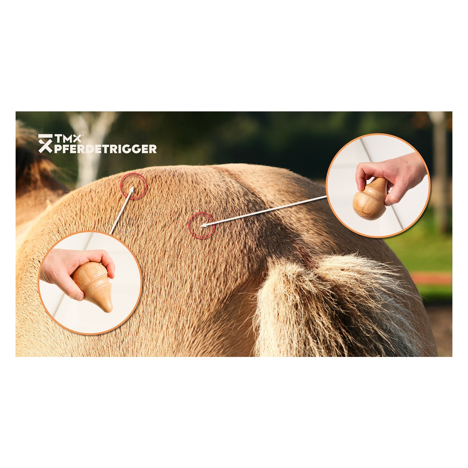 TMX Pferdetrigger – Ansicht 5