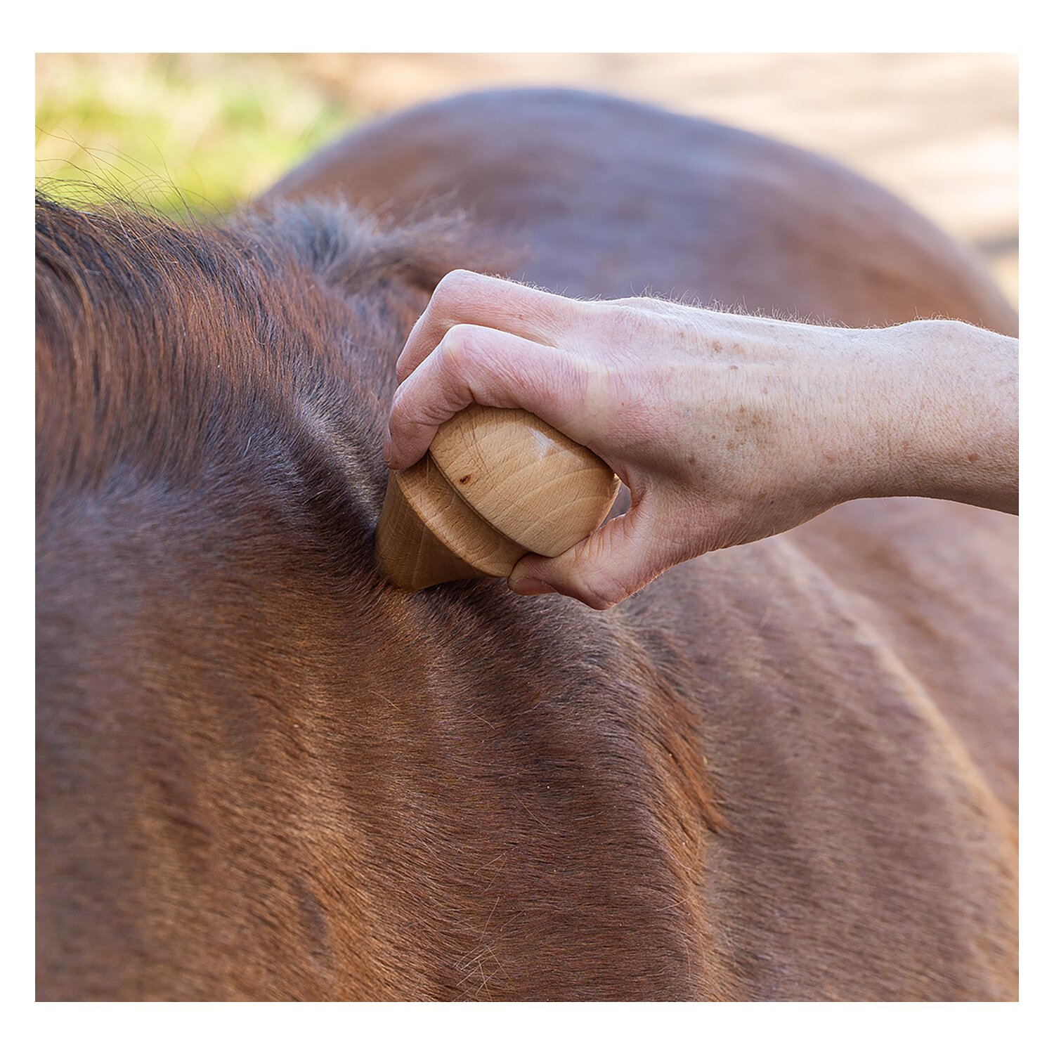 TMX Pferdetrigger – Ansicht 6