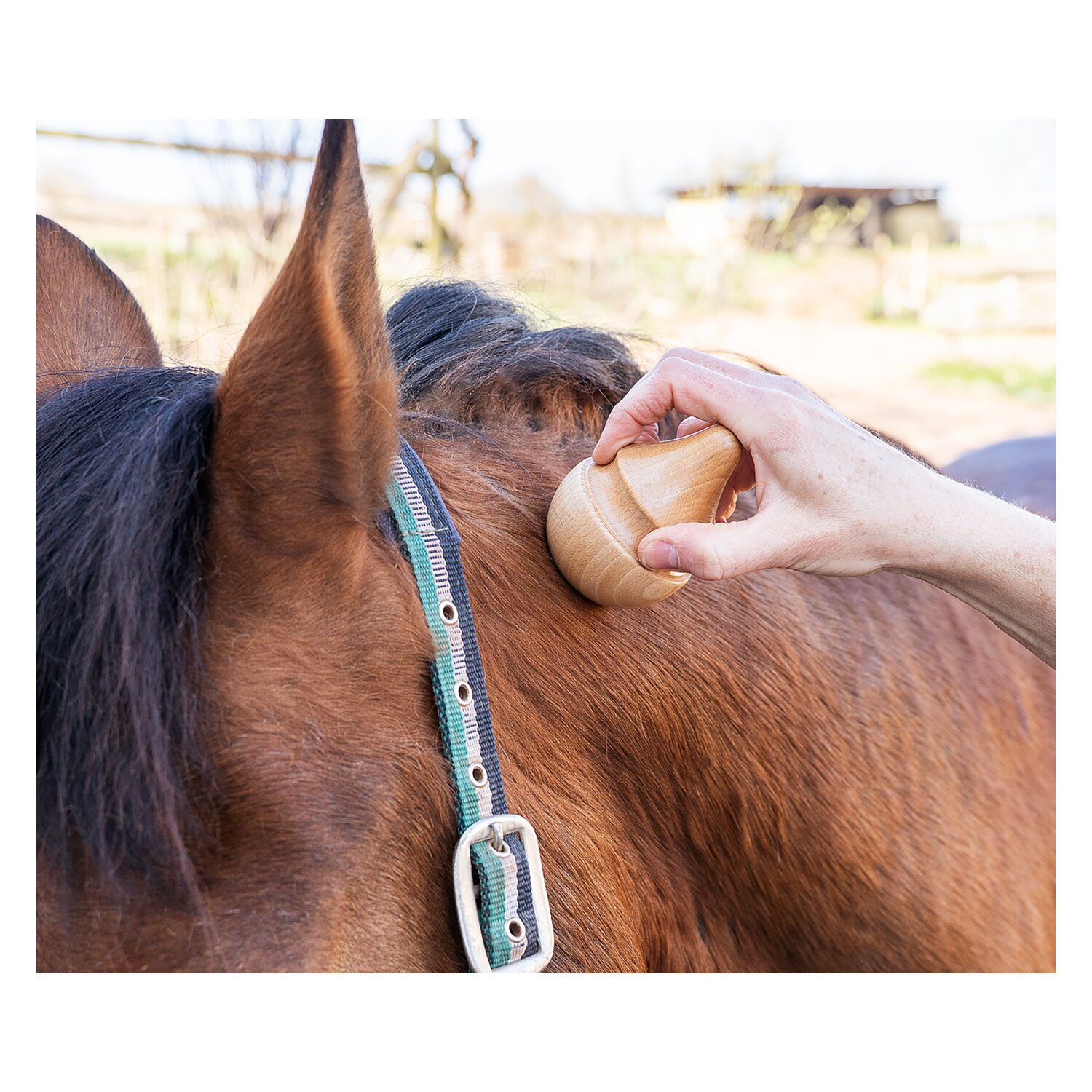 TMX Pferdetrigger – Ansicht 7