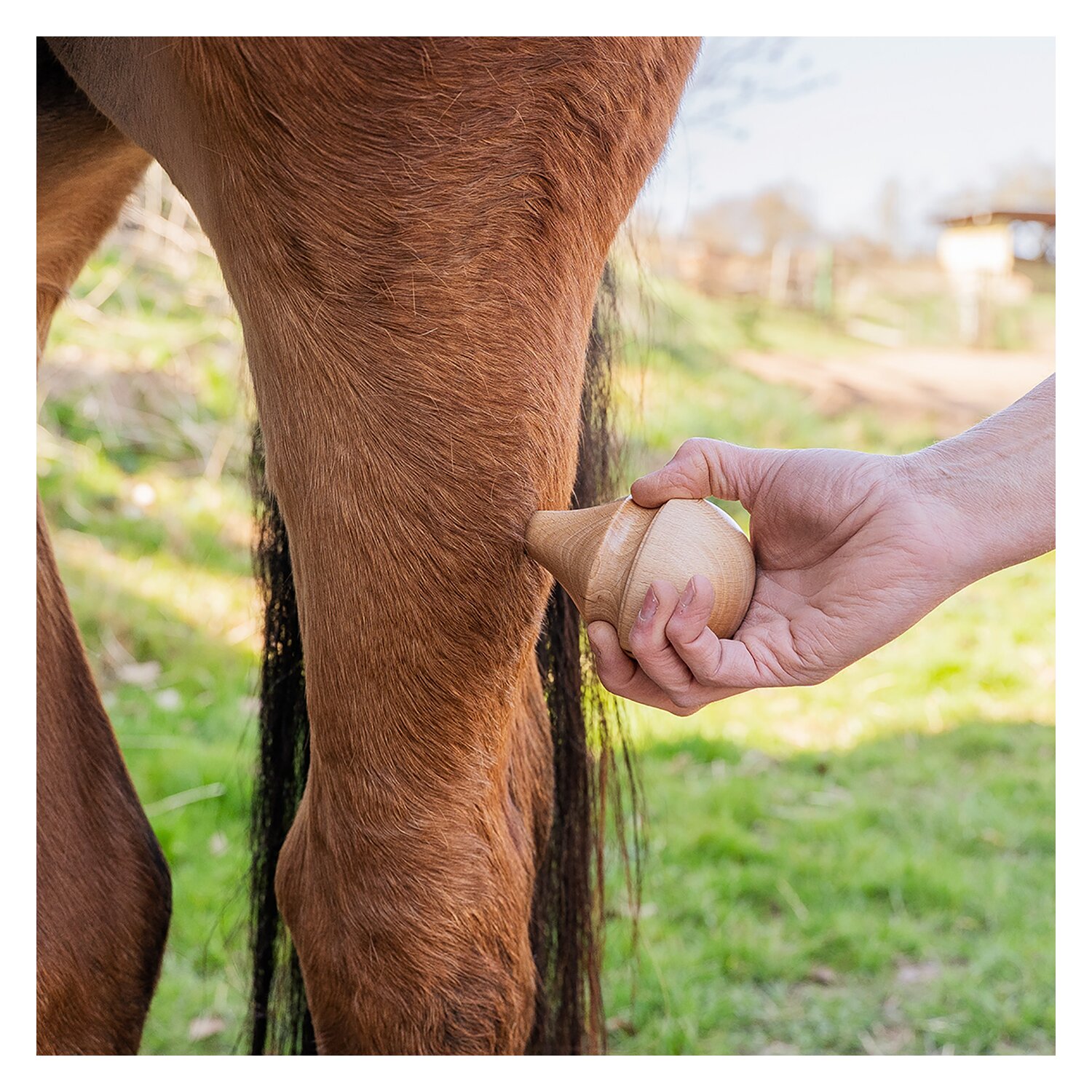 TMX Pferdetrigger – Ansicht 8