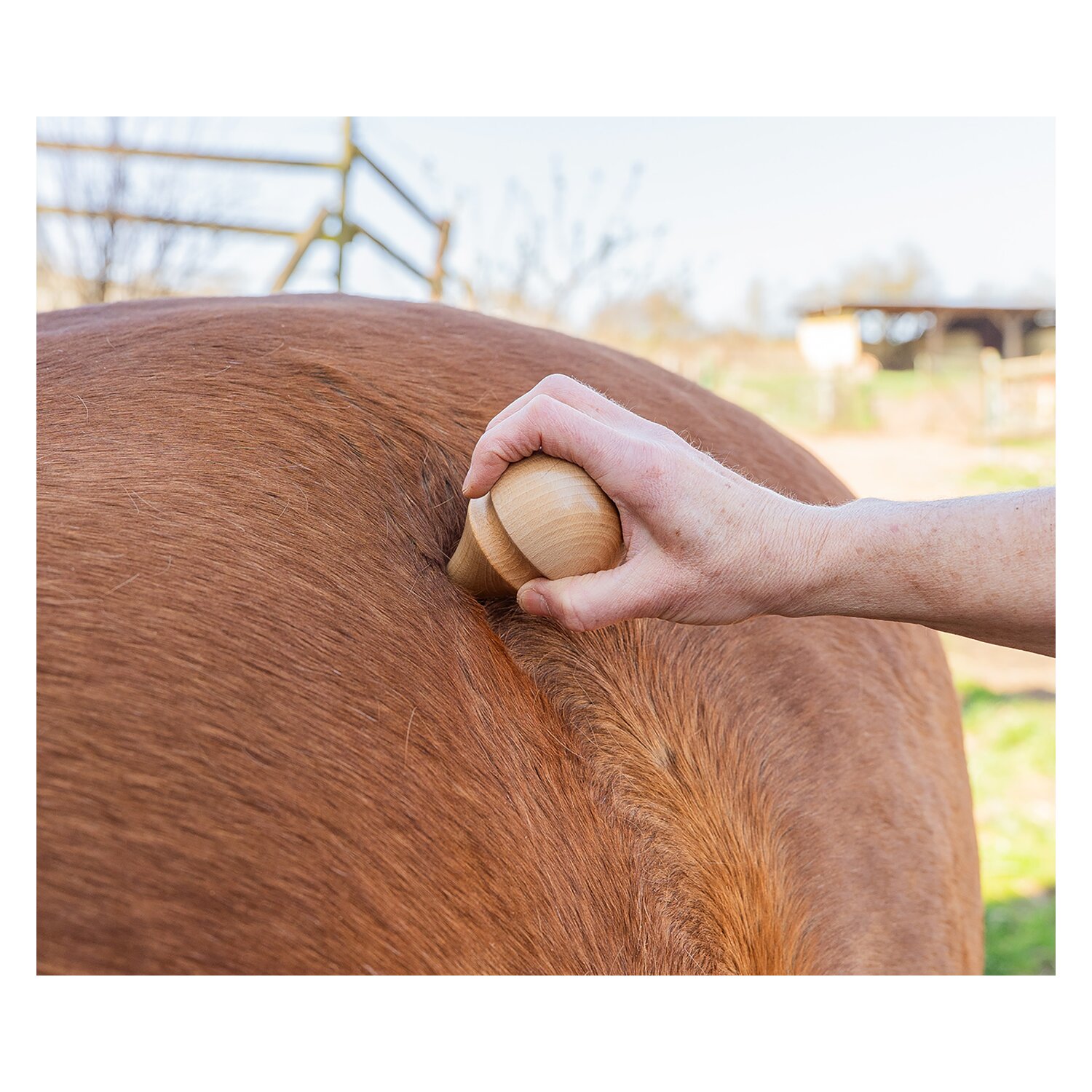 TMX Pferdetrigger – Ansicht 9