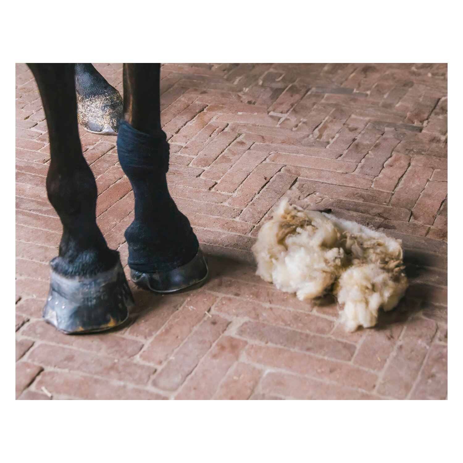 KENTUCKY Therapeutic Wool 150g – Ansicht 6