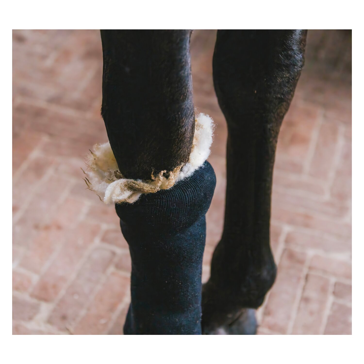 KENTUCKY Therapeutic Wool 150g – Ansicht 5