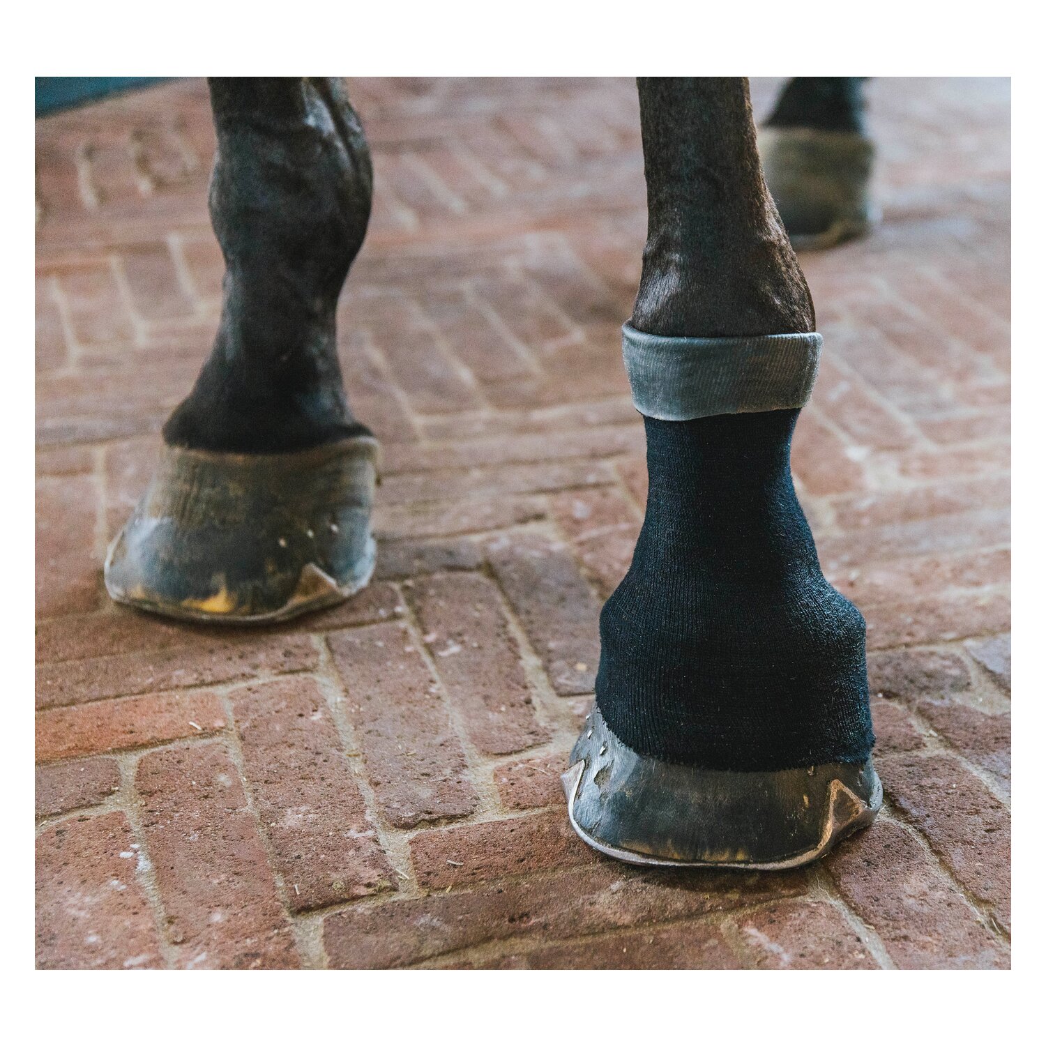 KENTUCKY Bandagenstrumpf Tendon Grip Gel – Ansicht 2